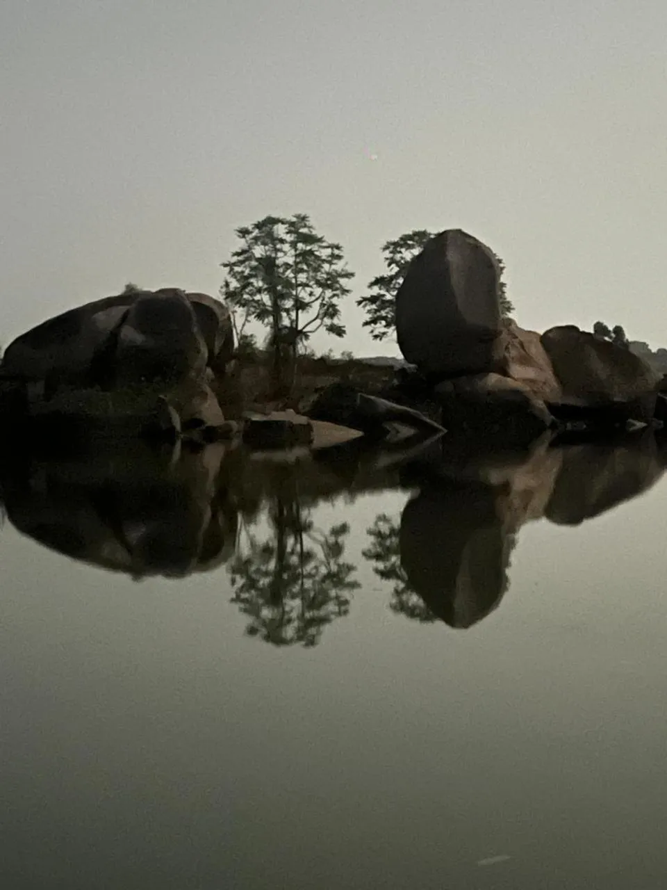 Leo Comforts river view Resort