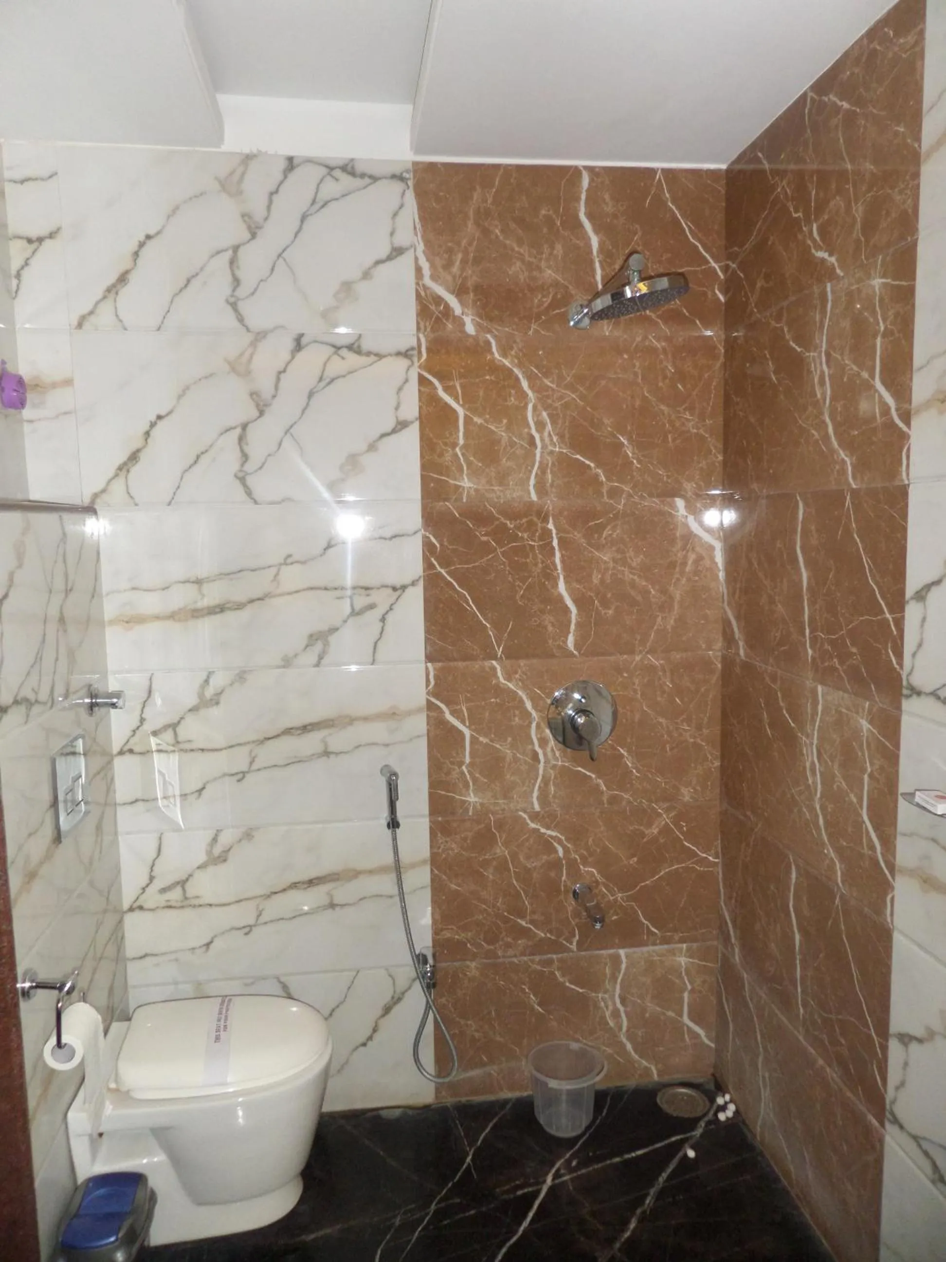 Bathroom in Hotel Raj Palace