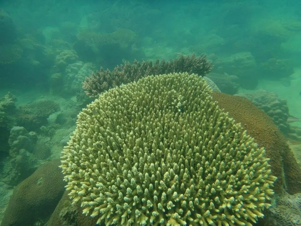 Other in de Bintan Villa