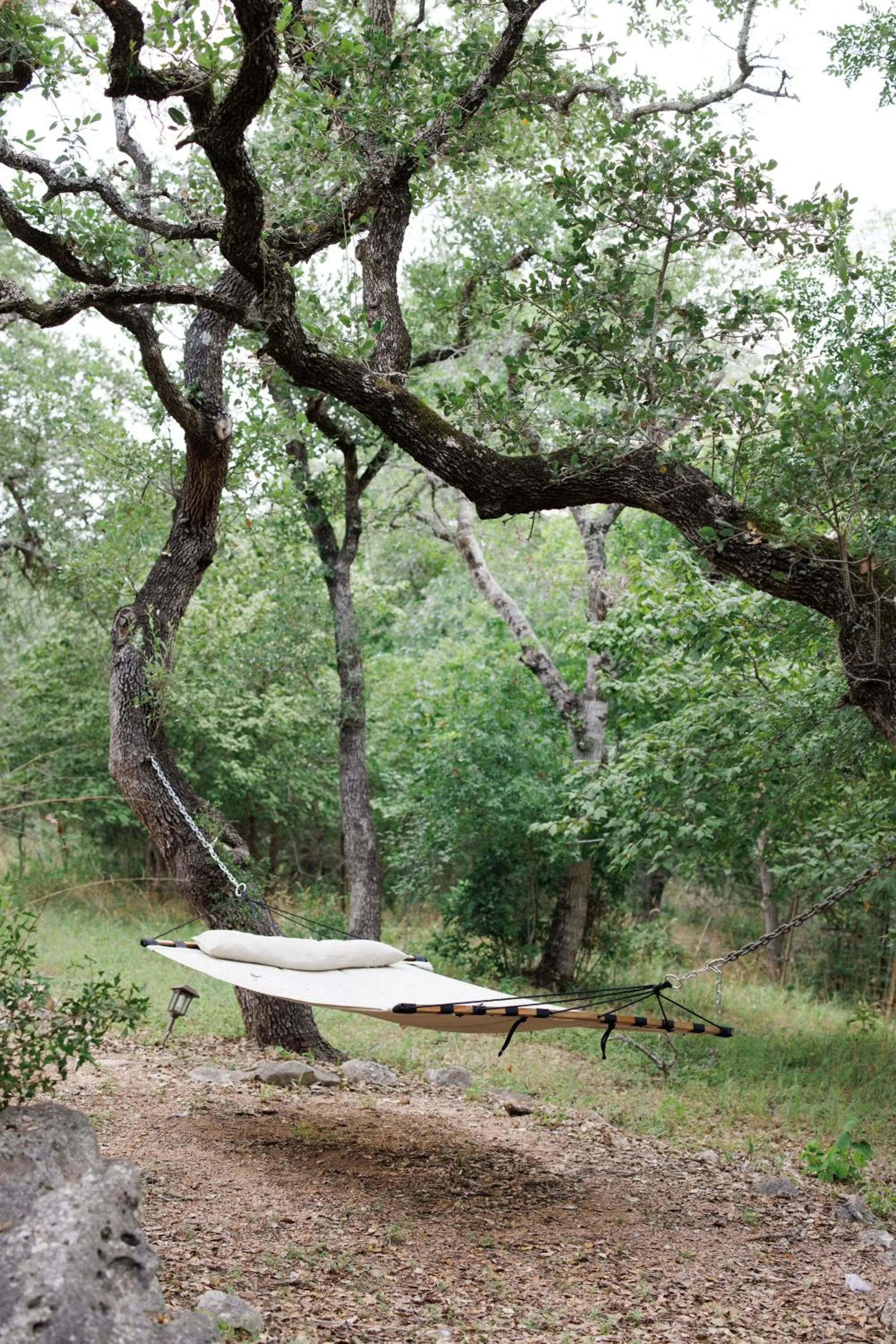 Natural landscape in Sage Hill Inn & Spa