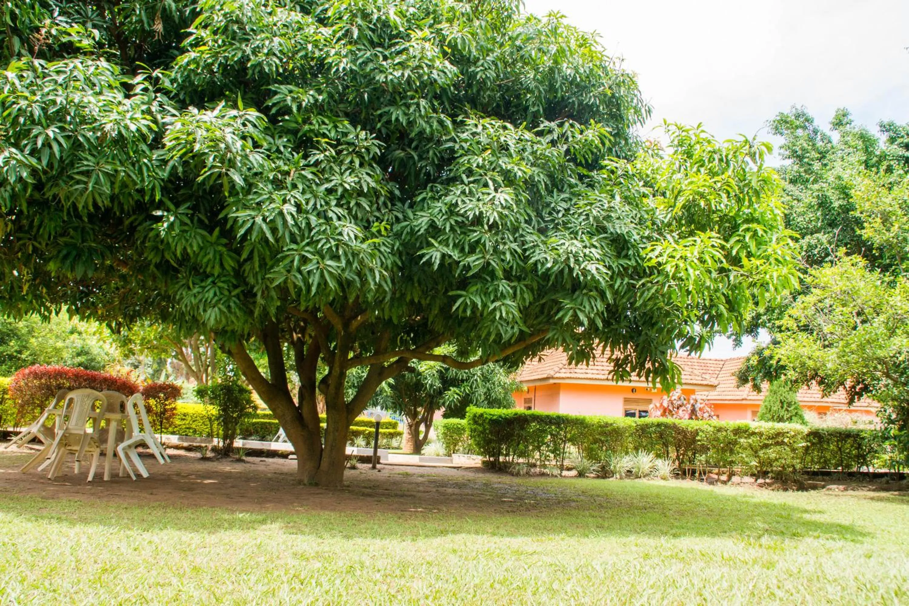 Garden in Wal Ville Suites