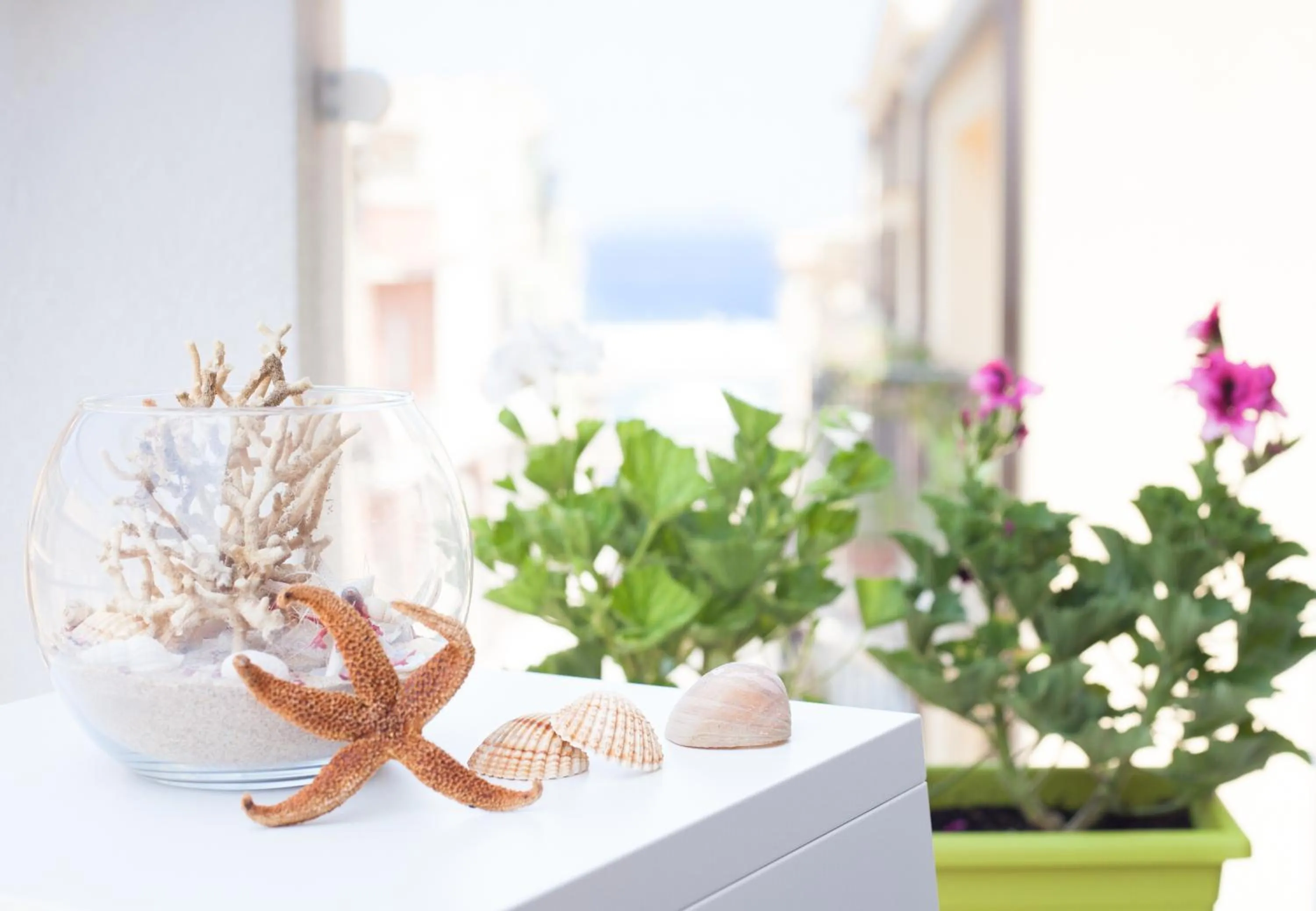 Balcony/Terrace in Stanze del Mare