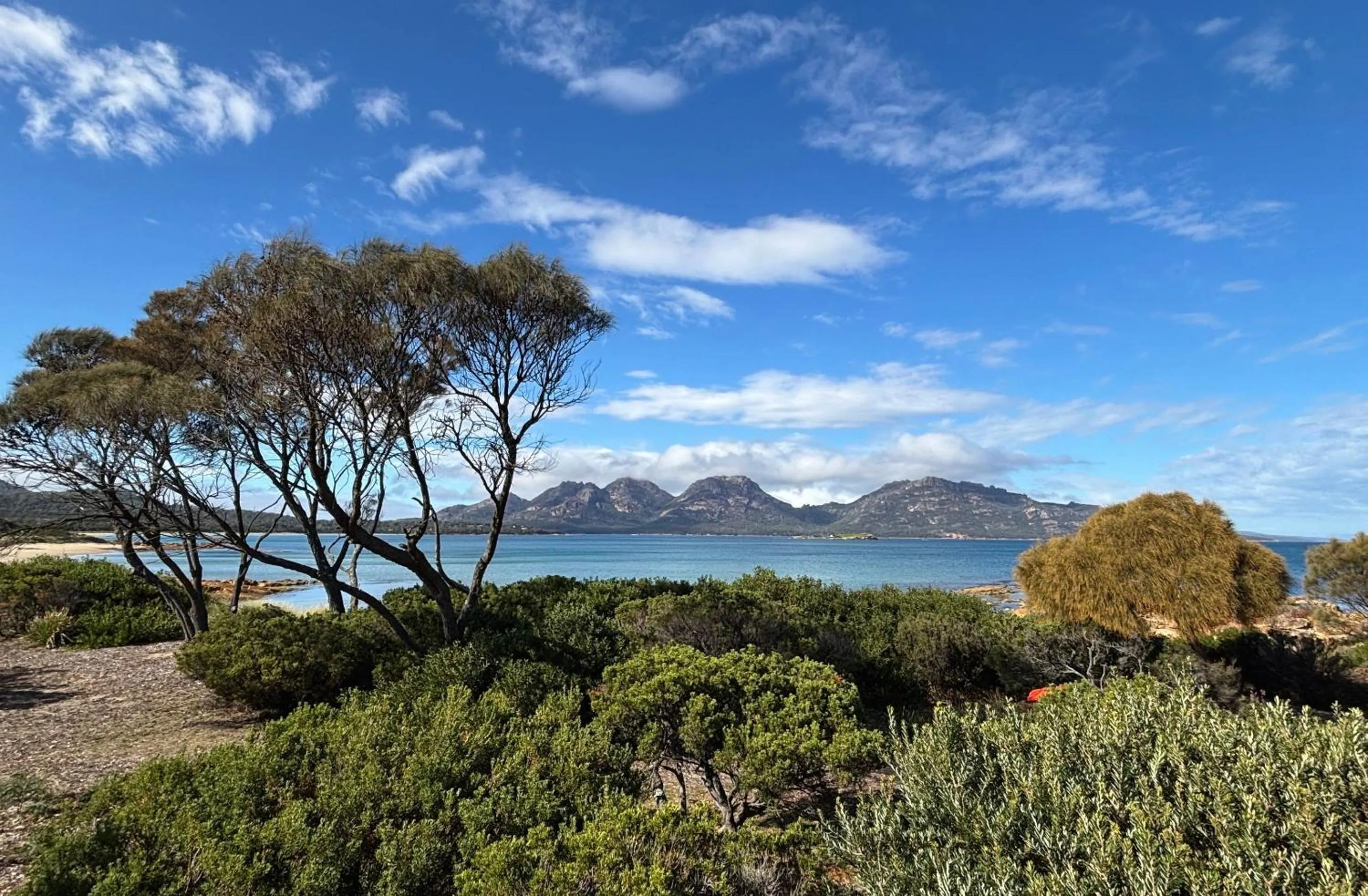 View (from property/room) in Edge of the Bay