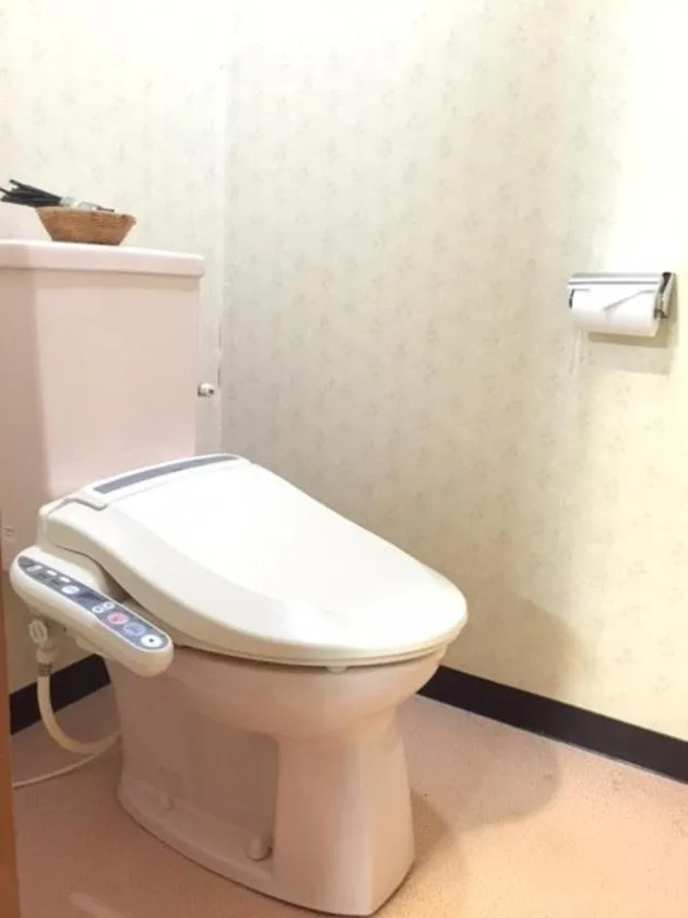 Toilet in Yuzawa Hotel