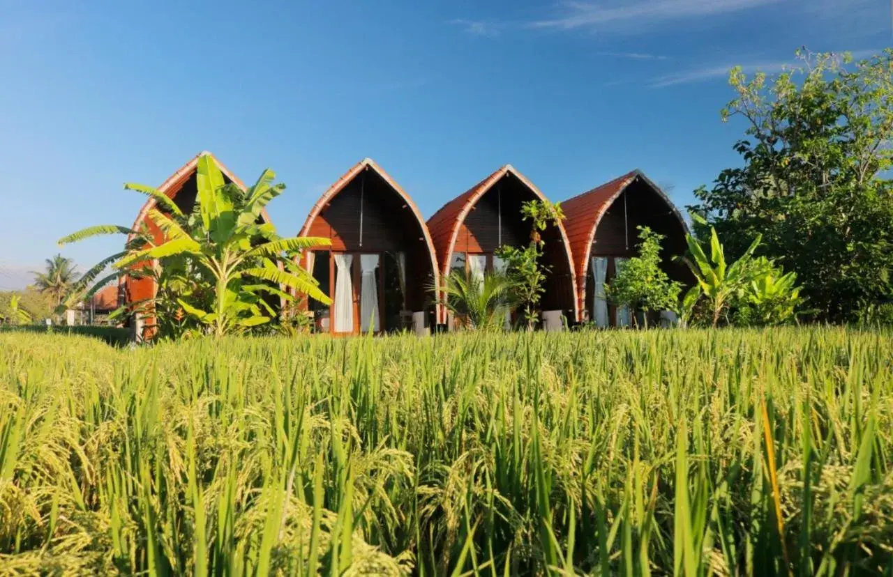 Keramas Surf Camp Keramas Surf Camp