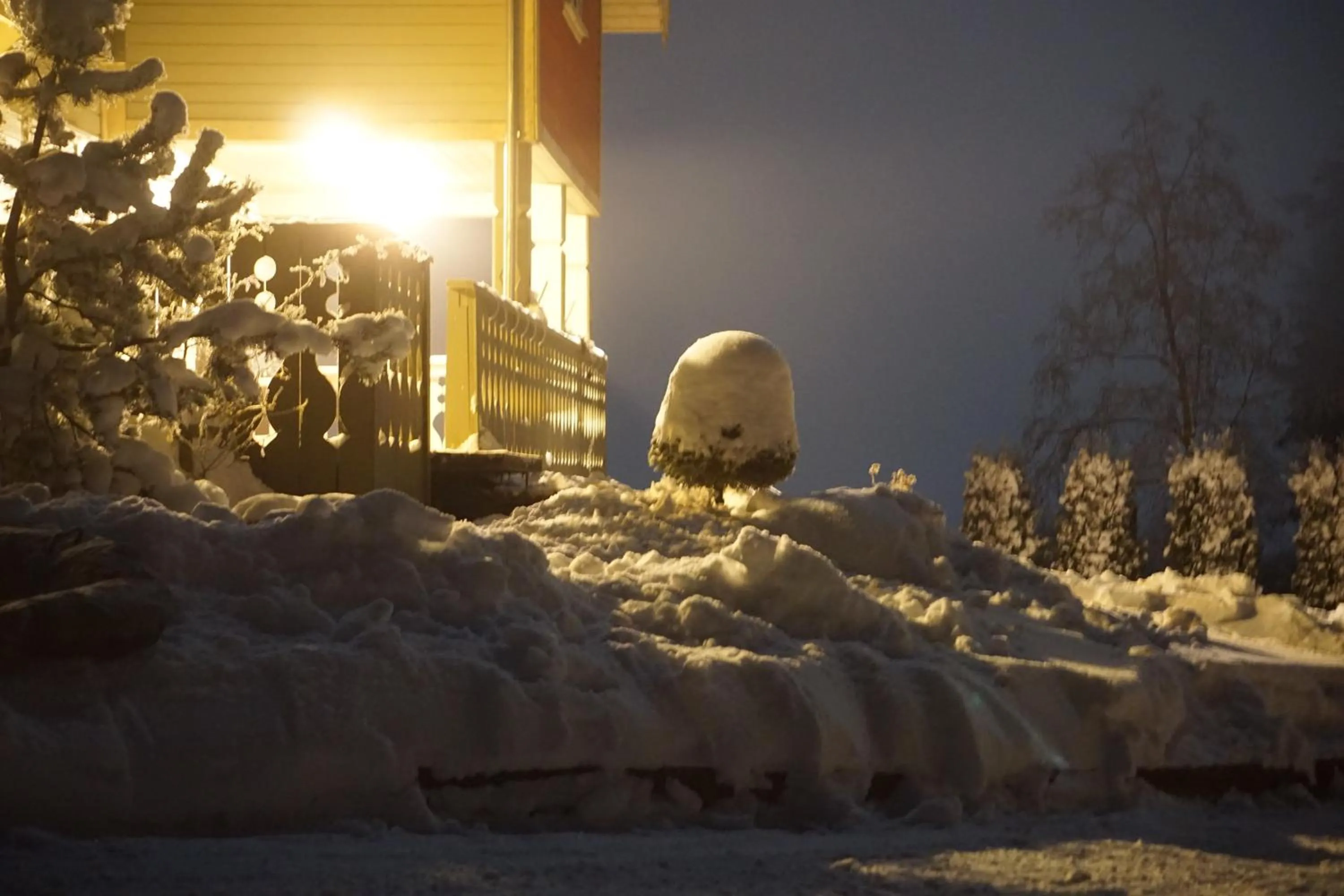 Property building in North Lakeside Villa Plateliai