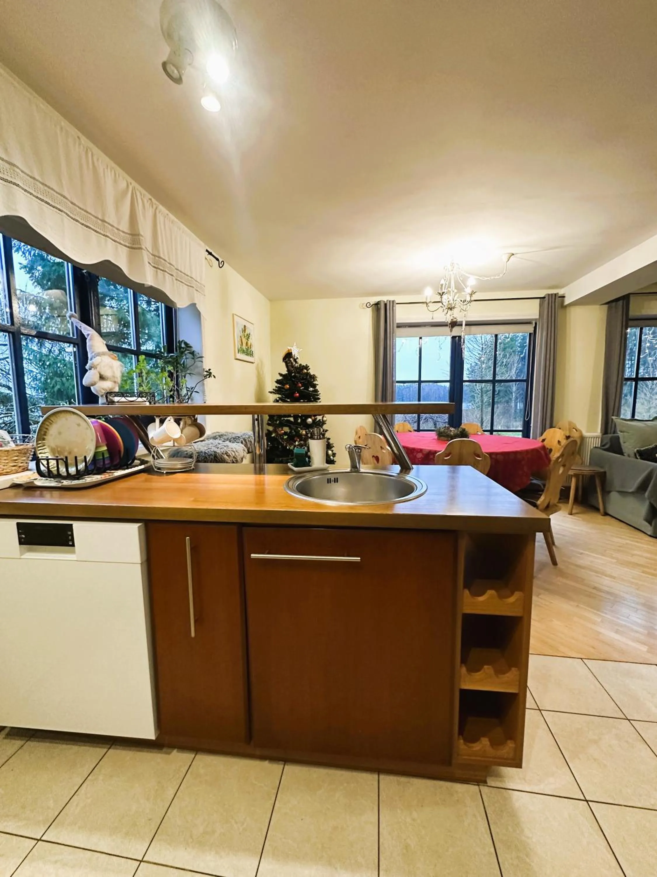 Kitchen or kitchenette in North Lakeside Villa Plateliai