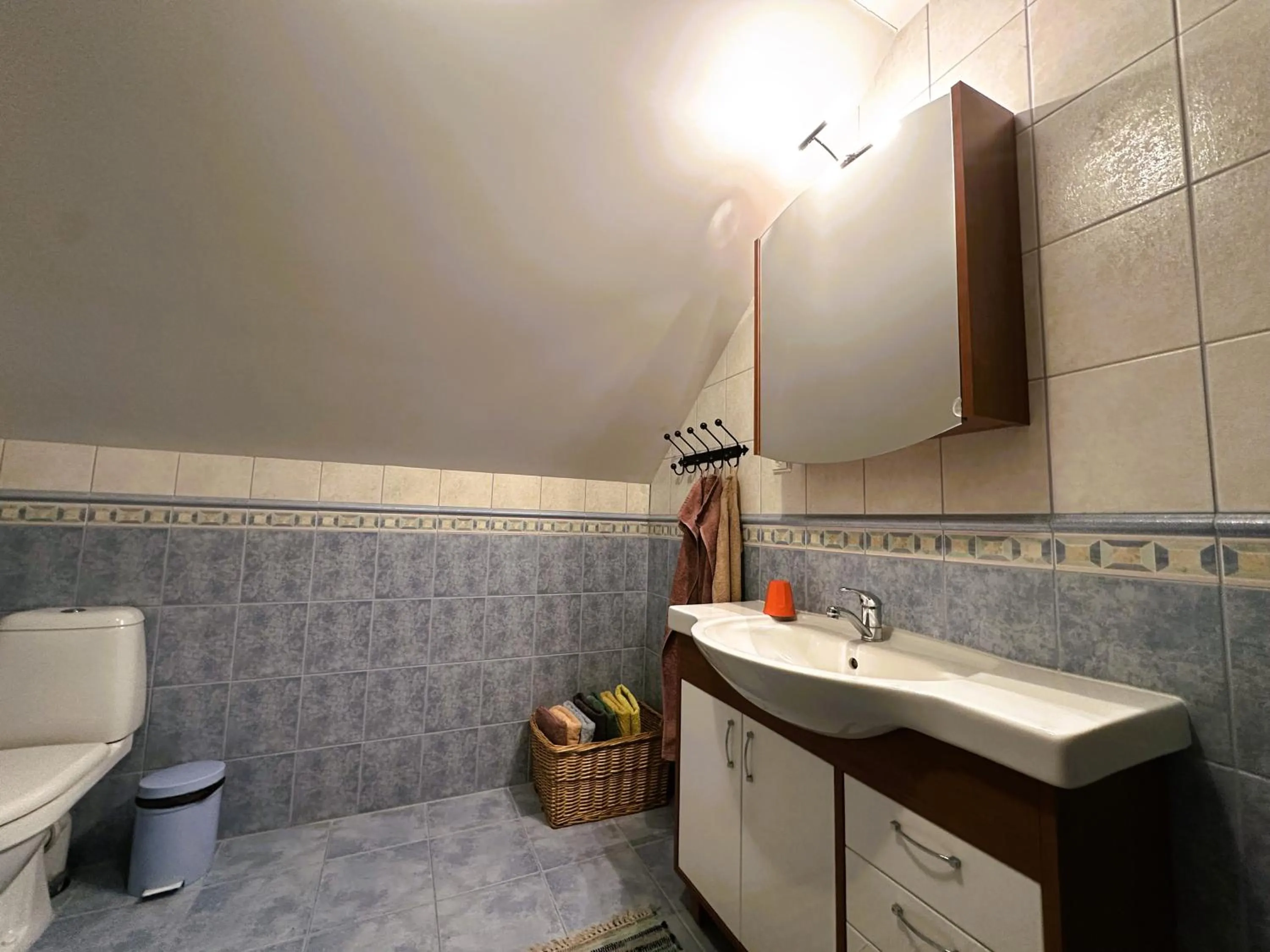 Shower in North Lakeside Villa Plateliai