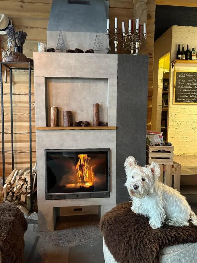 Restaurant/places to eat in North Lakeside Villa Plateliai