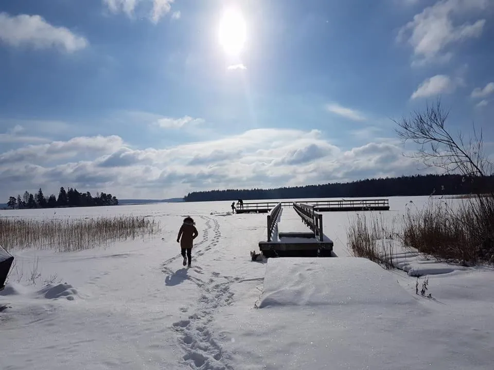 Natural landscape in North Lakeside Villa Plateliai