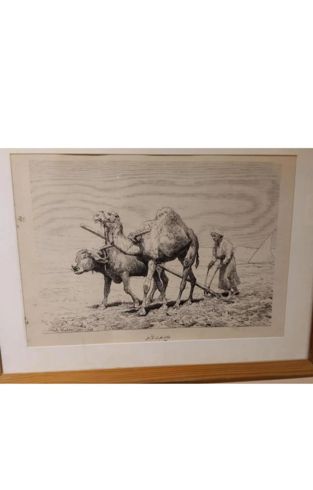 Decorative detail in Falcon pyramids inn