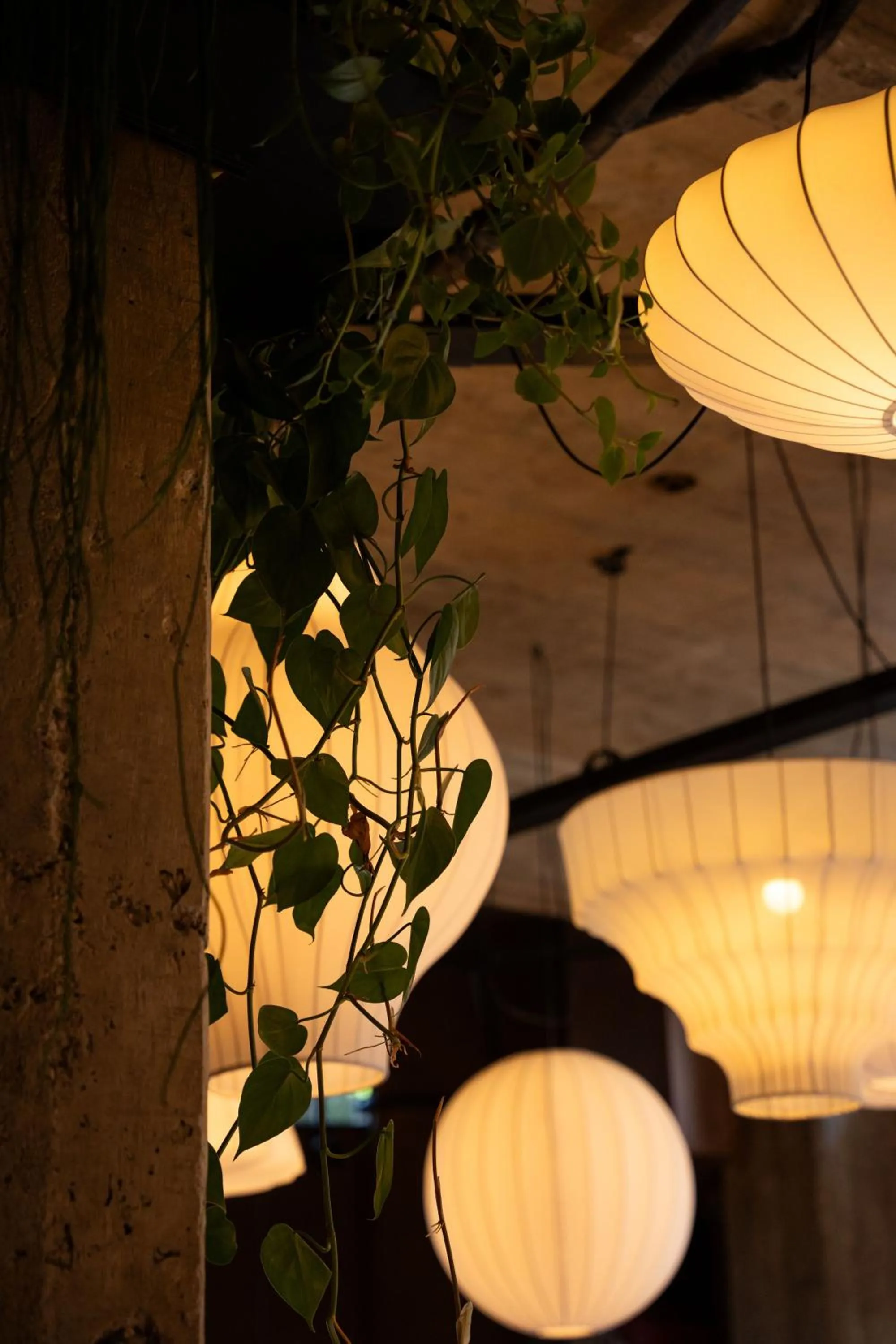 Restaurant/places to eat in San Raphael Hotel