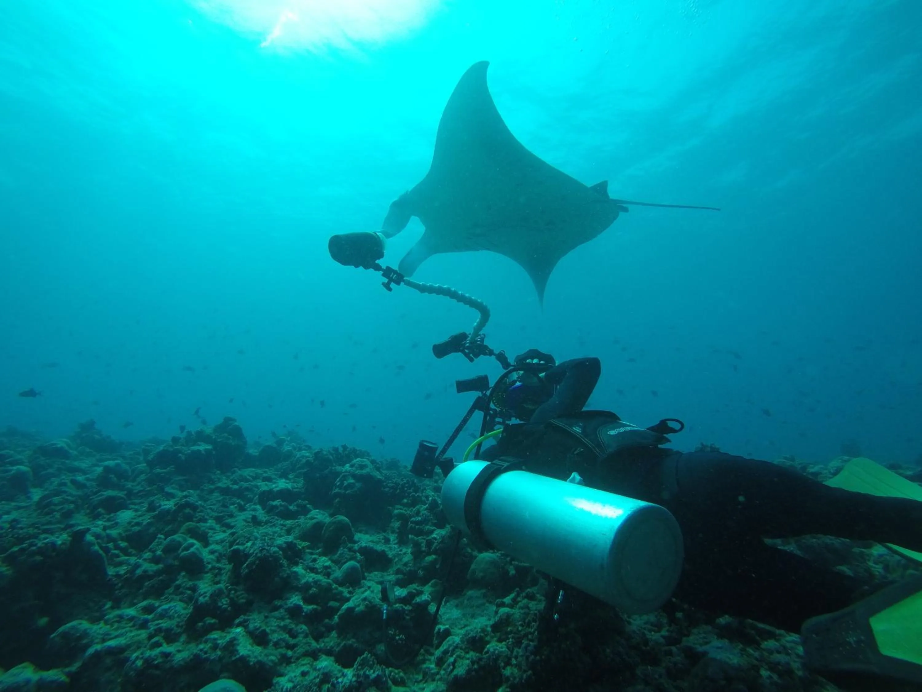 People in Liberty Guesthouse Maldives