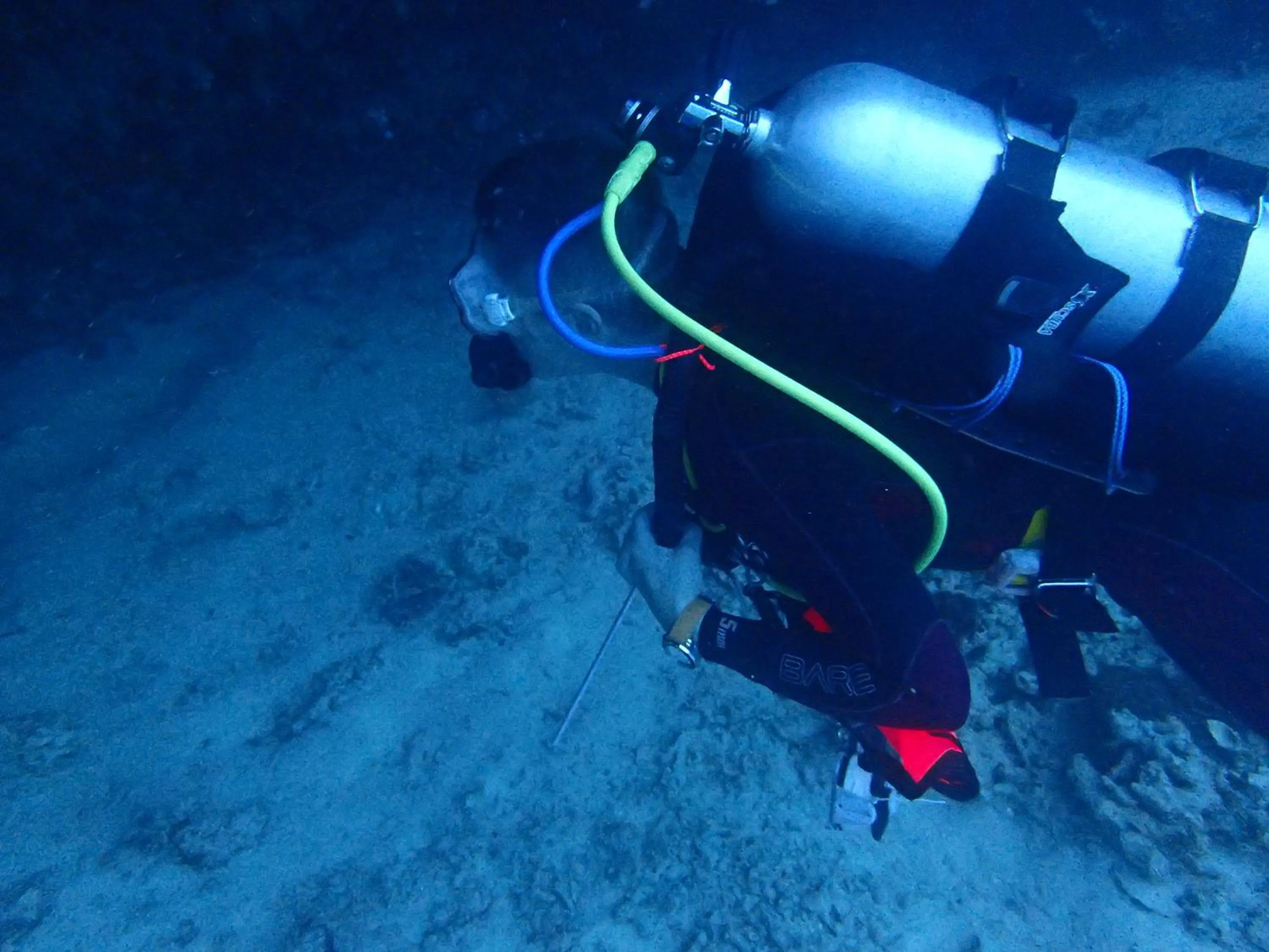 Diving in Liberty Guesthouse Maldives