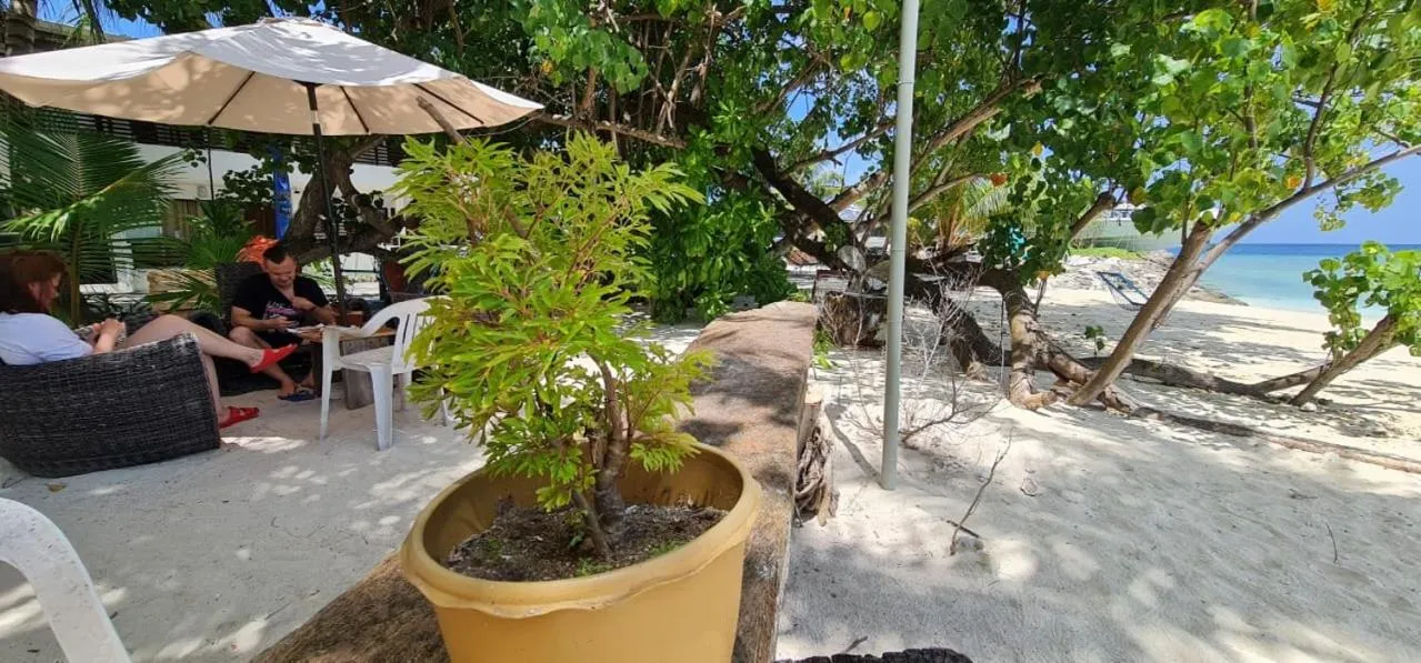 Beach in Liberty Guesthouse Maldives