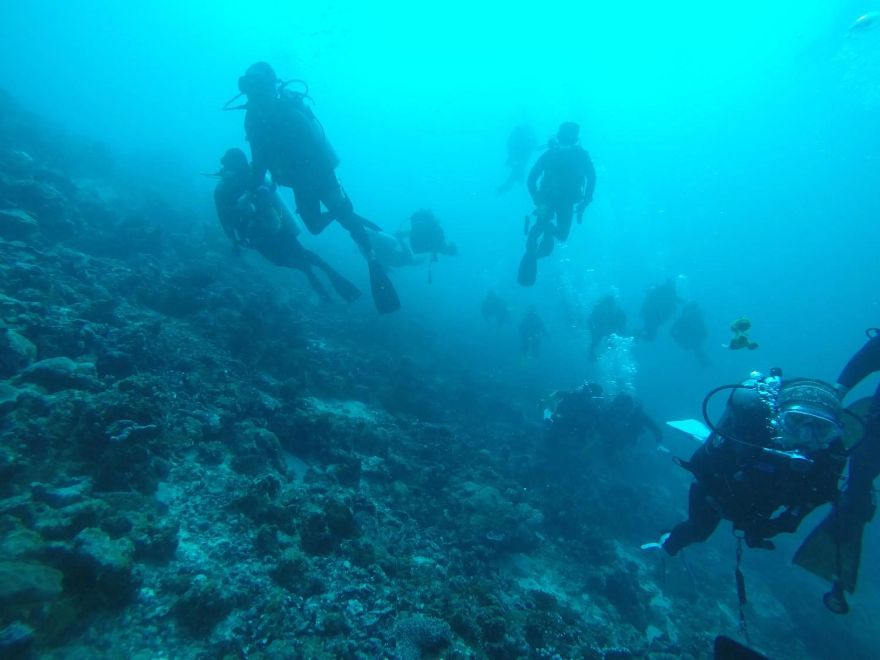 People in Liberty Guesthouse Maldives