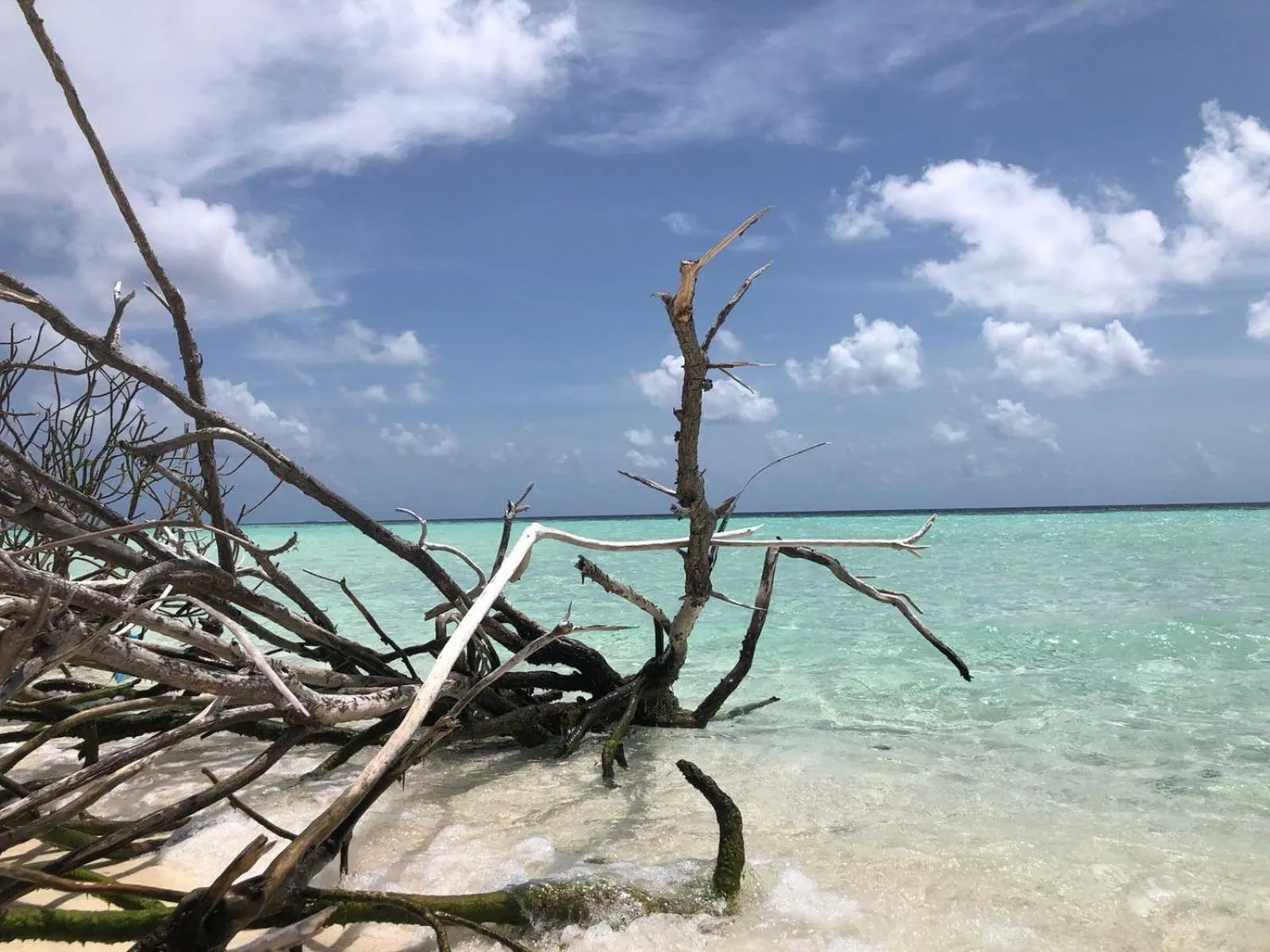 Natural landscape in Liberty Guesthouse Maldives