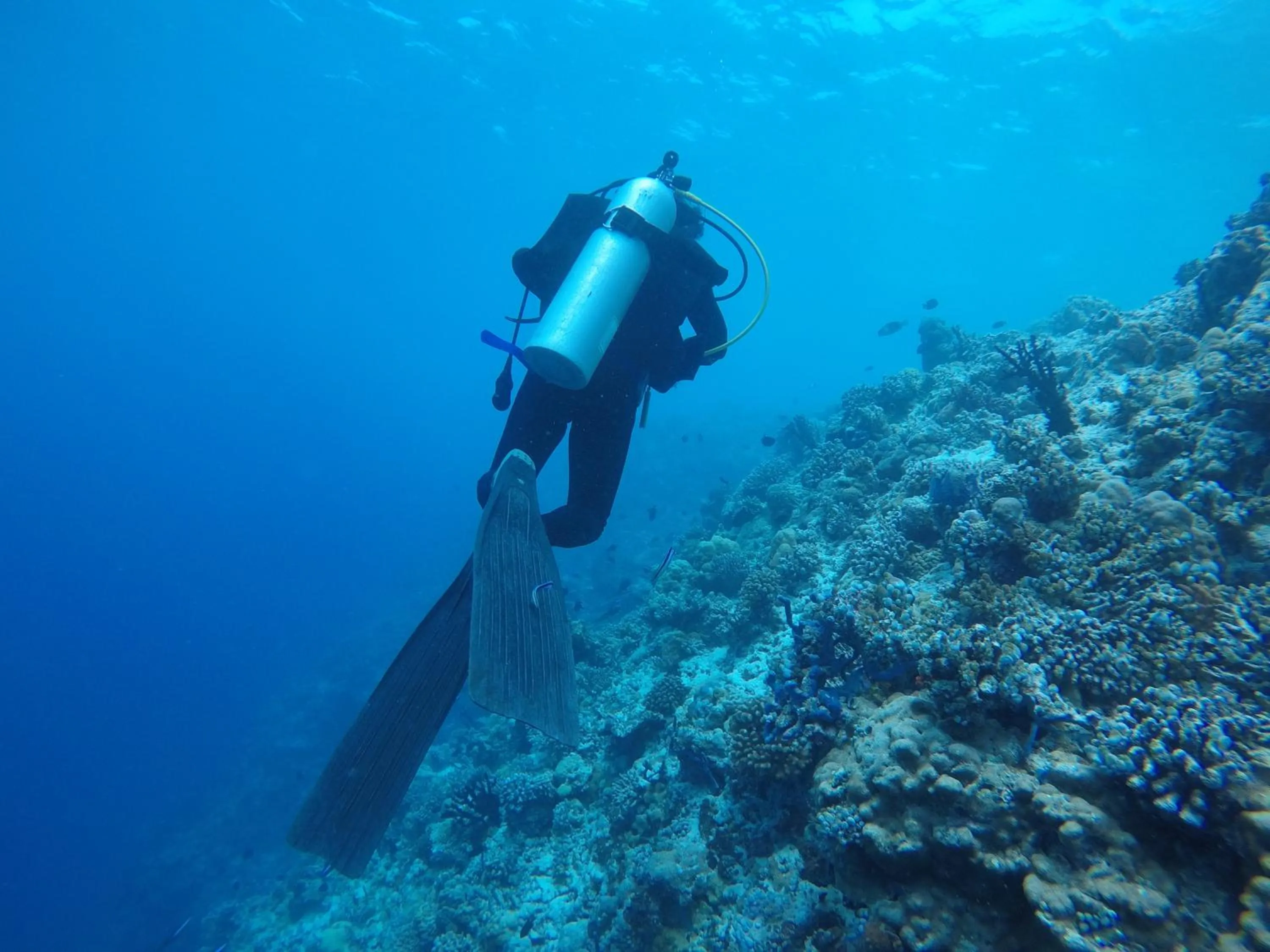 People in Liberty Guesthouse Maldives