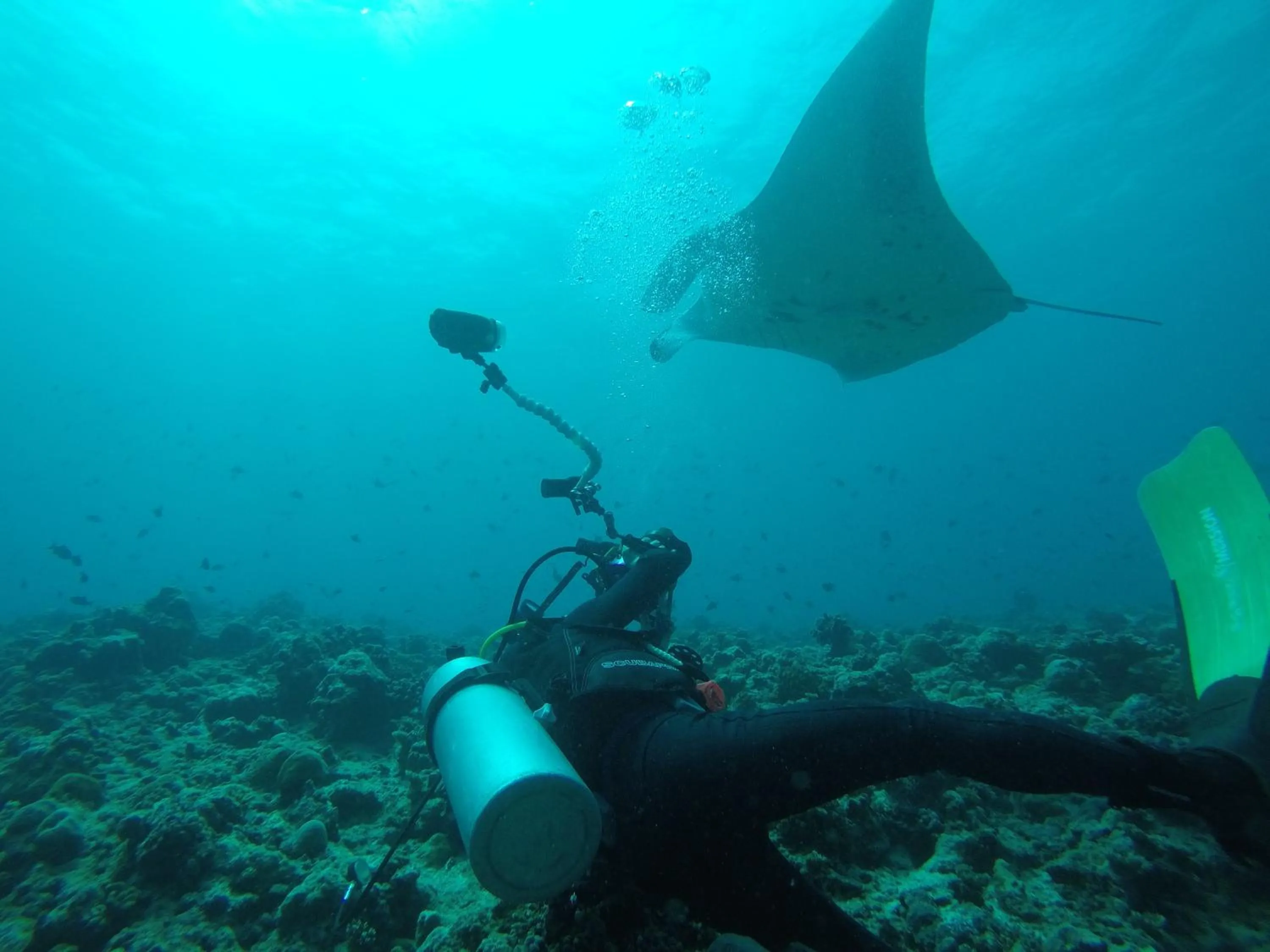 People in Liberty Guesthouse Maldives