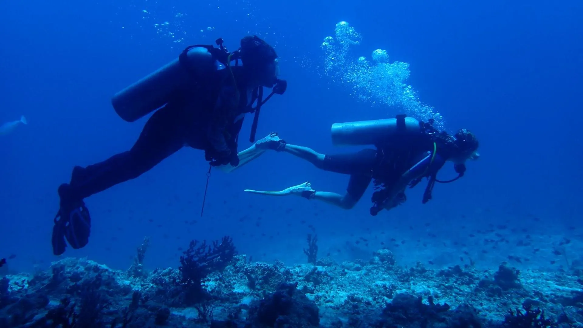 Activities in Liberty Guesthouse Maldives