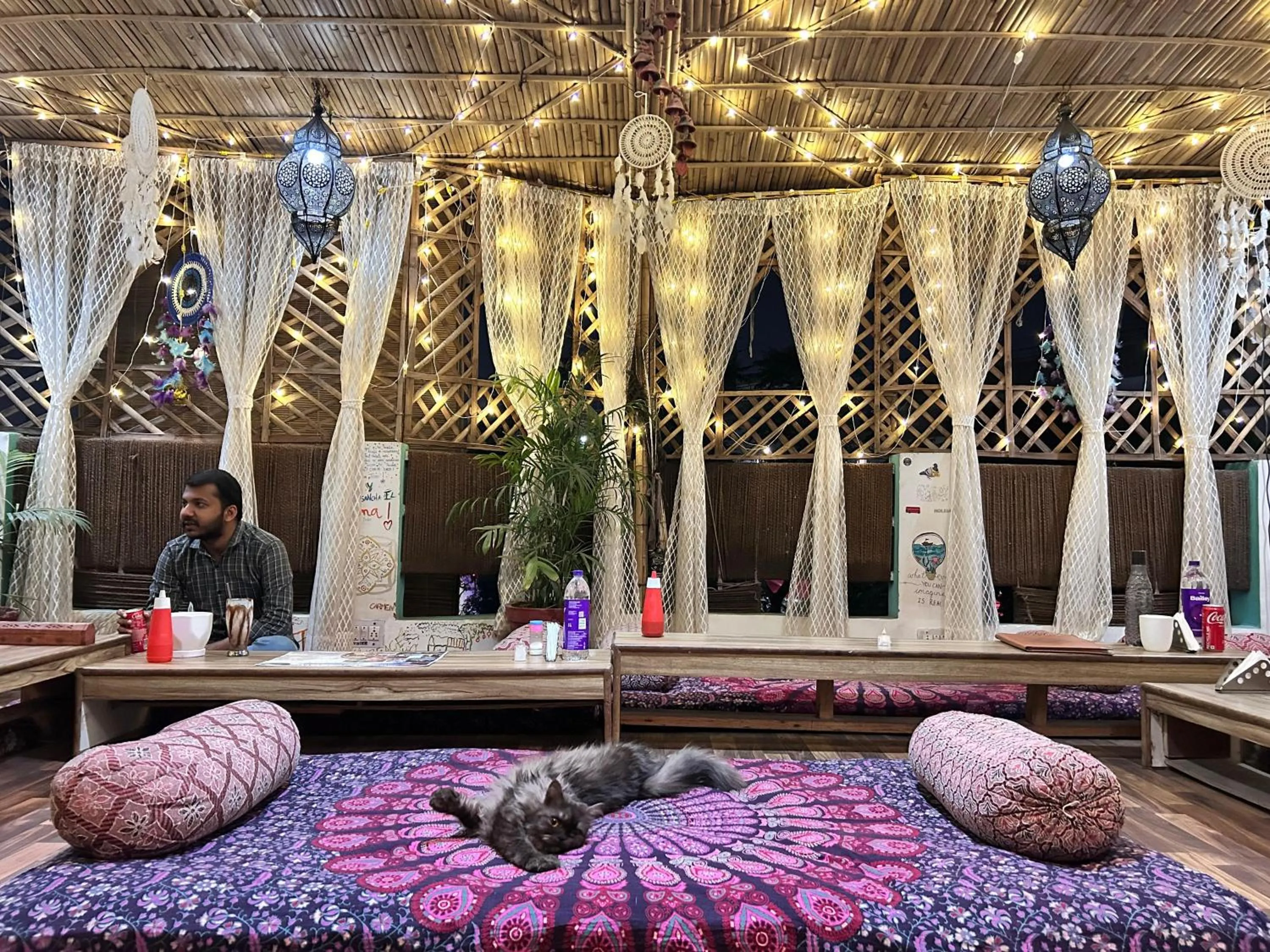 Restaurant/places to eat in The Pink Chapter Hostel, Jaipur