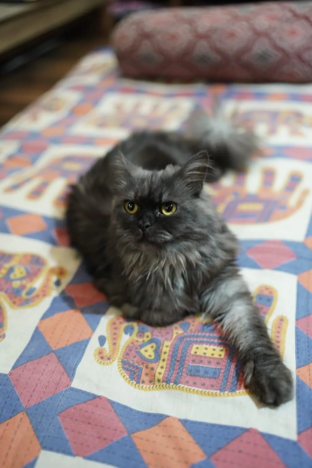 Game Room in The Pink Chapter Hostel, Jaipur