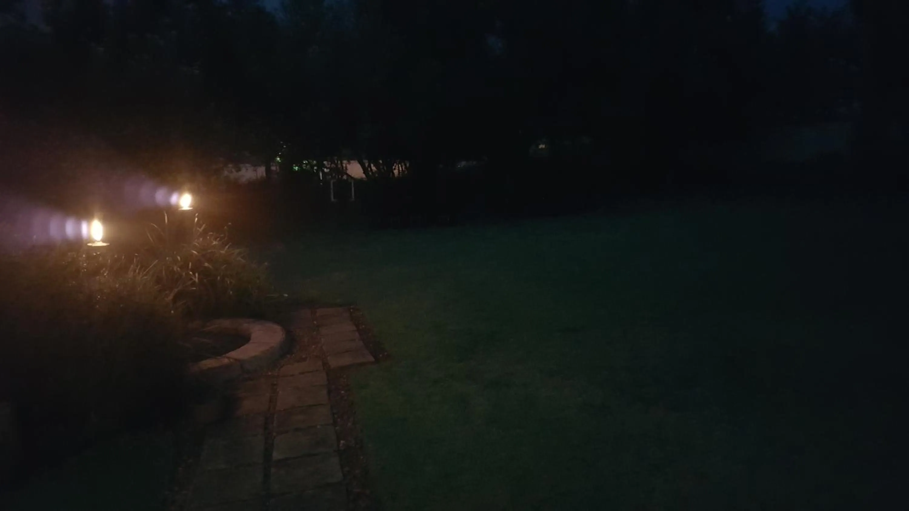 Garden in African Silhouette Guesthouse