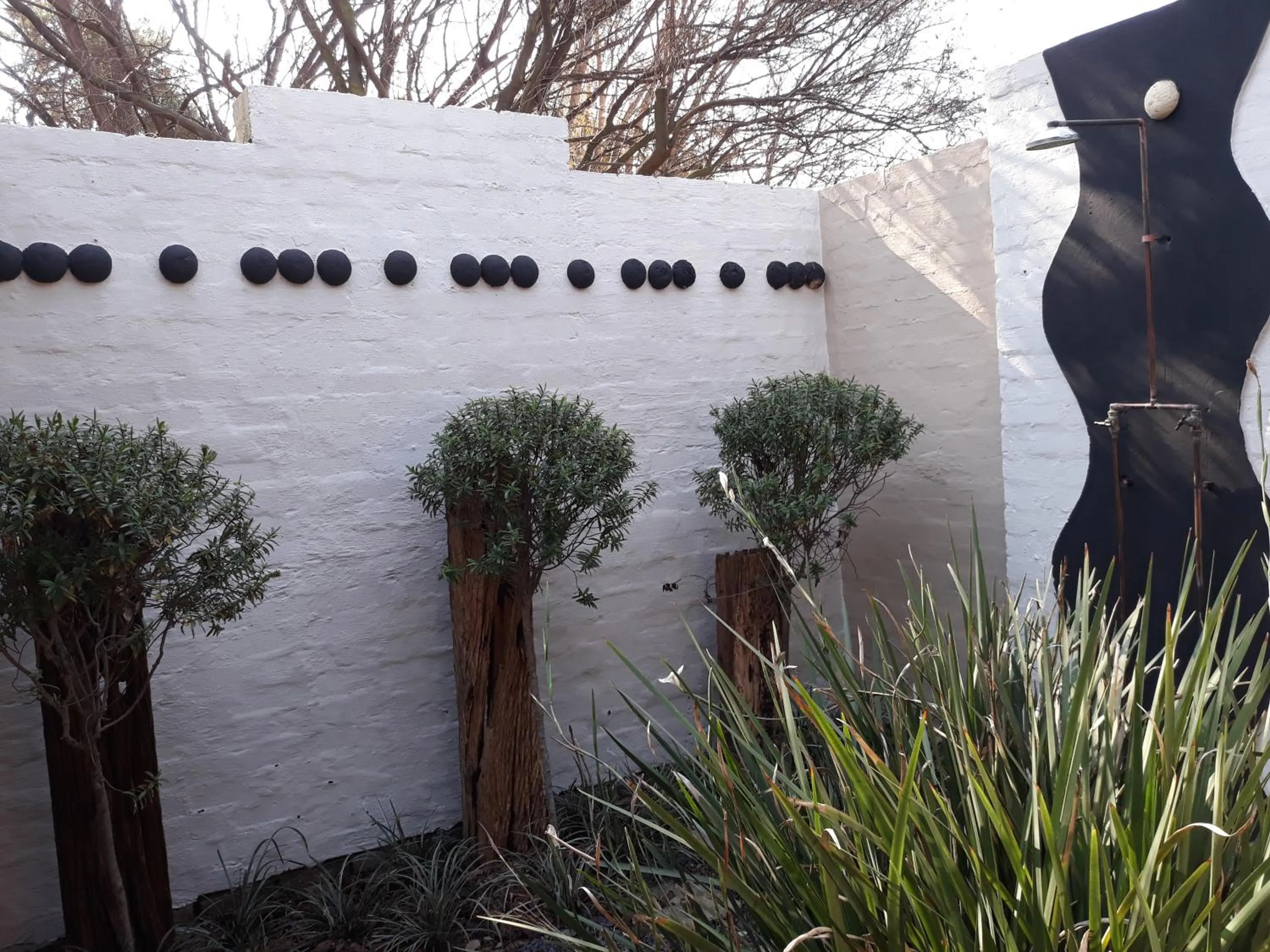 Property building in African Silhouette Guesthouse