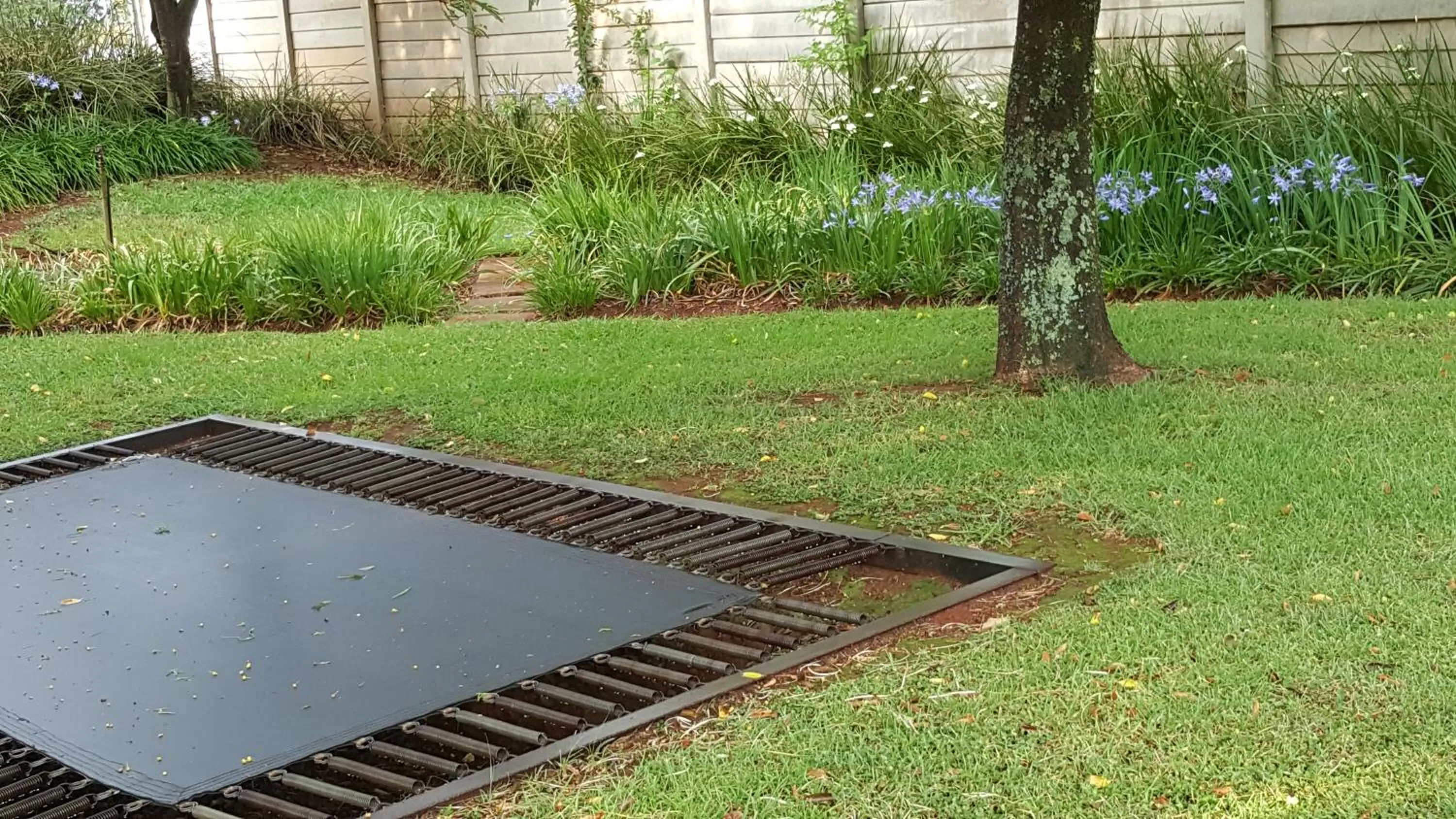 Swimming pool in African Silhouette Guesthouse