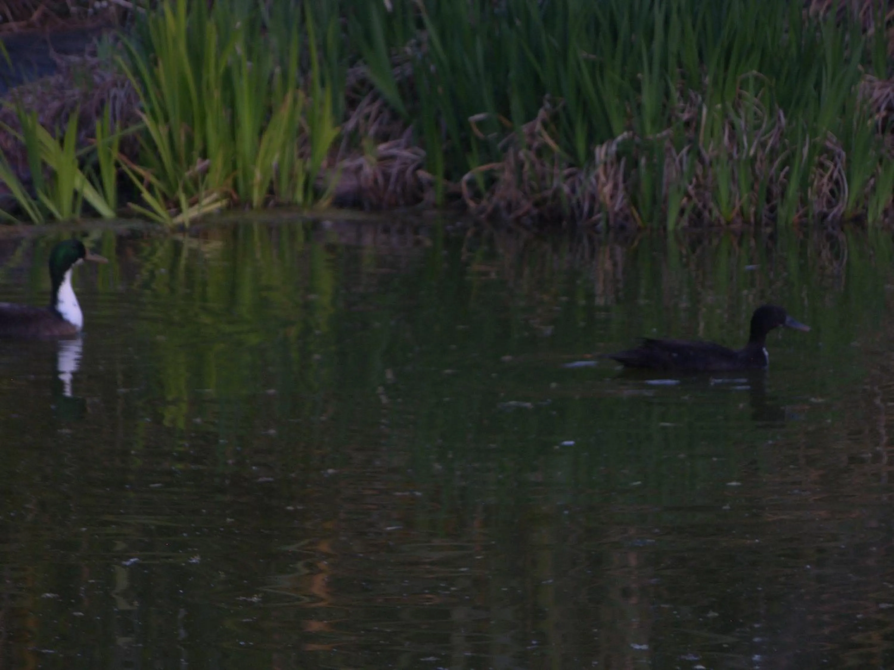 BBQ facilities in African Silhouette Guesthouse