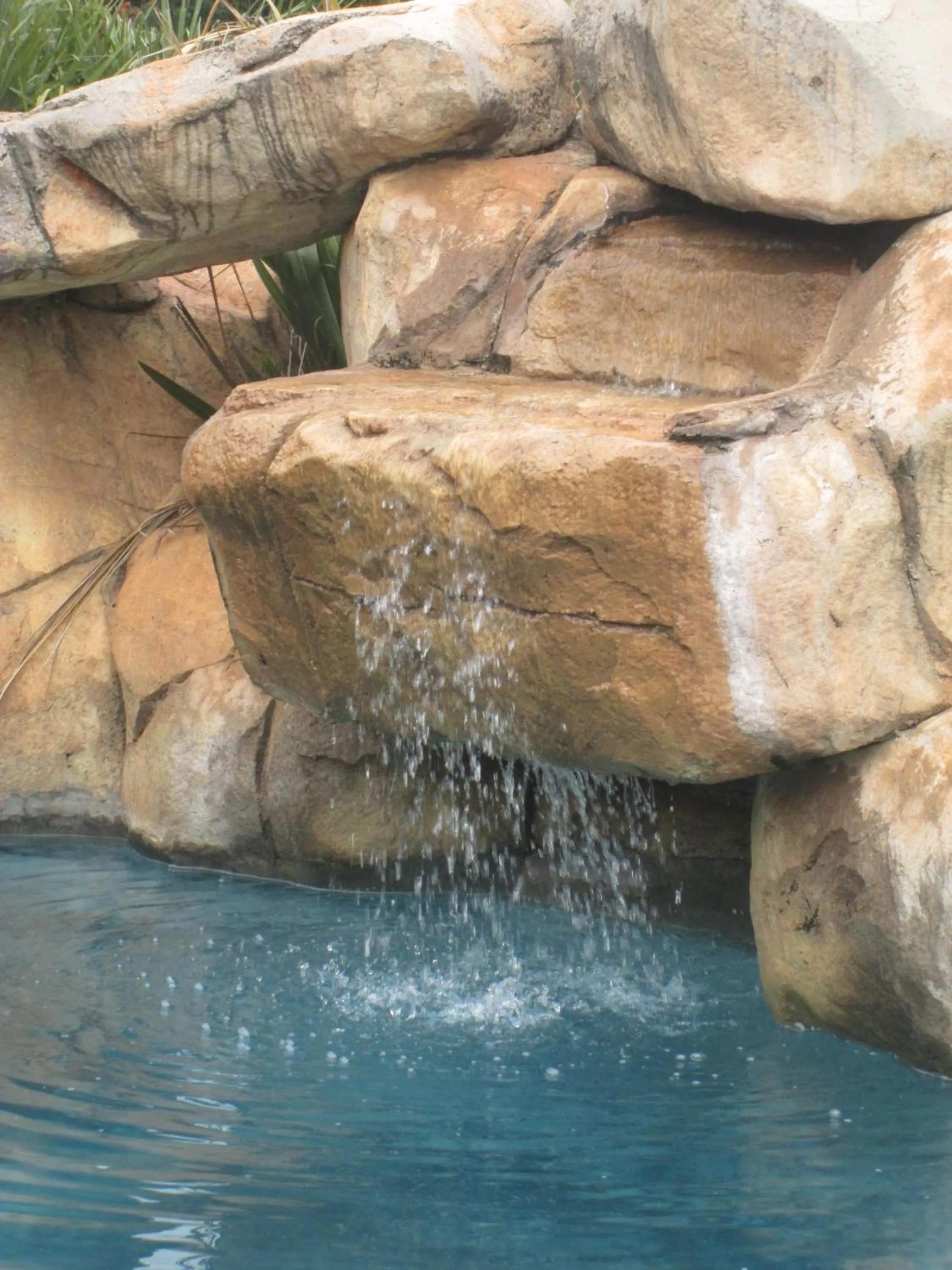 Restaurant/places to eat in African Silhouette Guesthouse