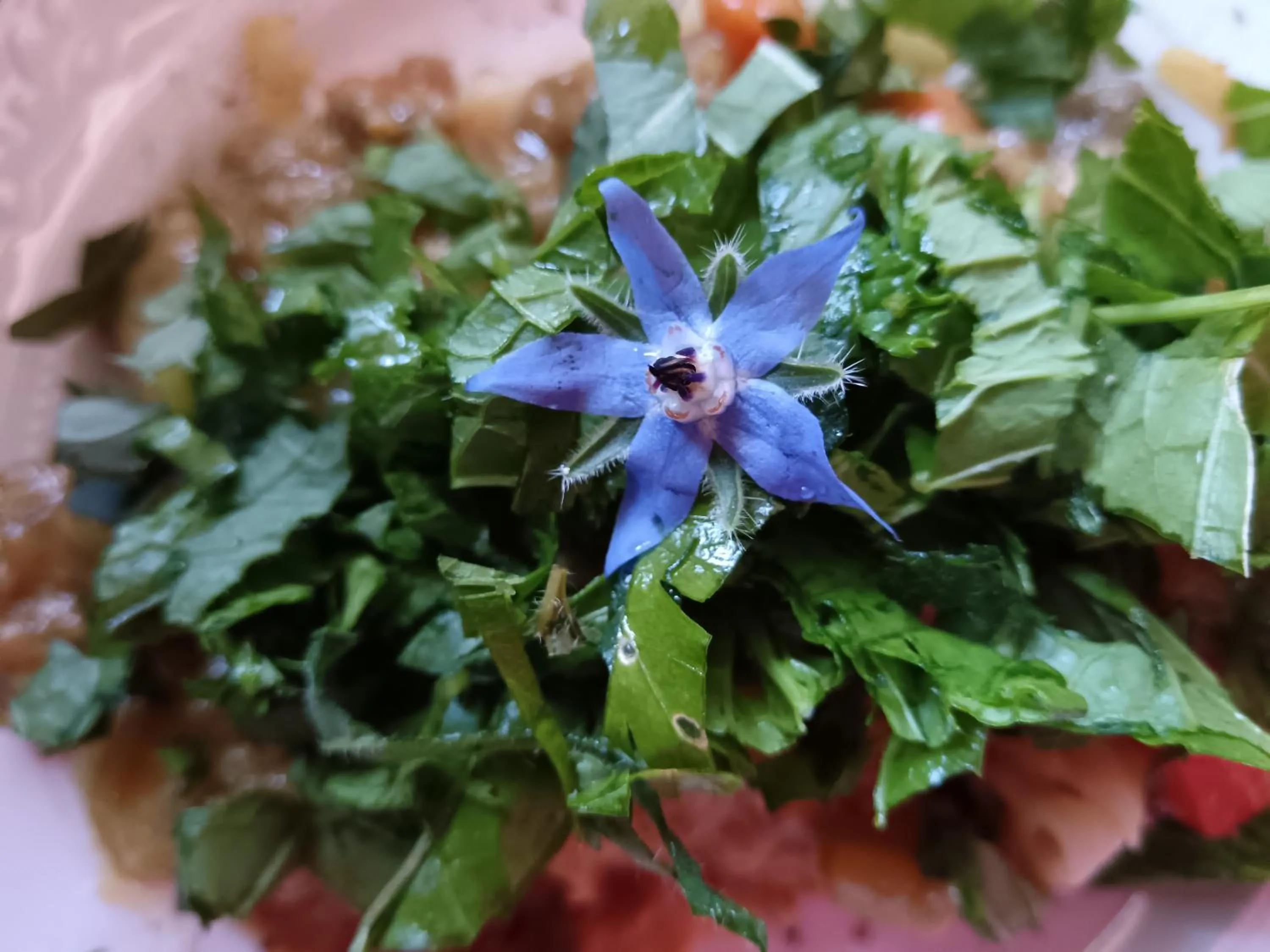 African Silhouette Guesthouse