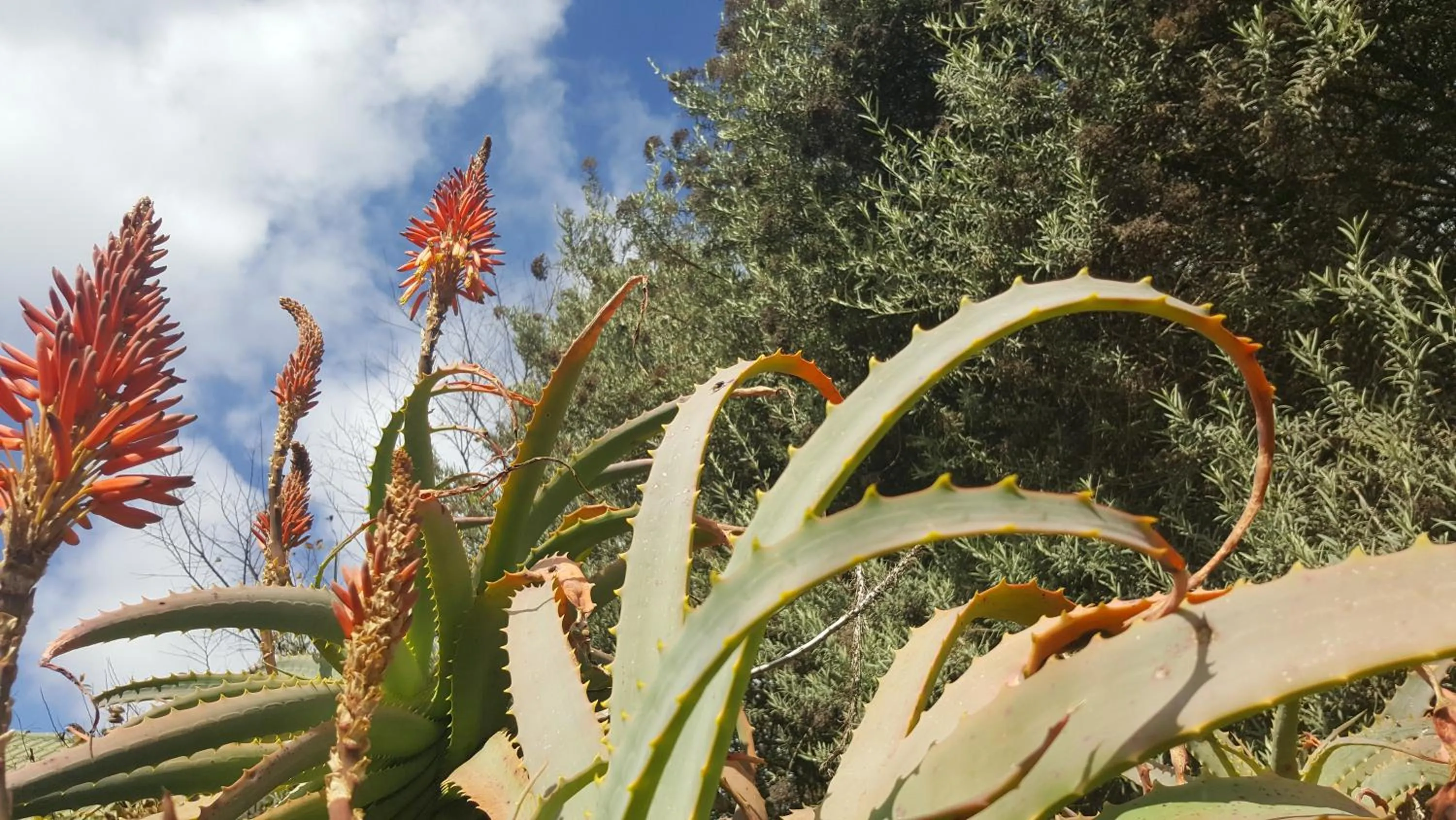 African Silhouette Guesthouse