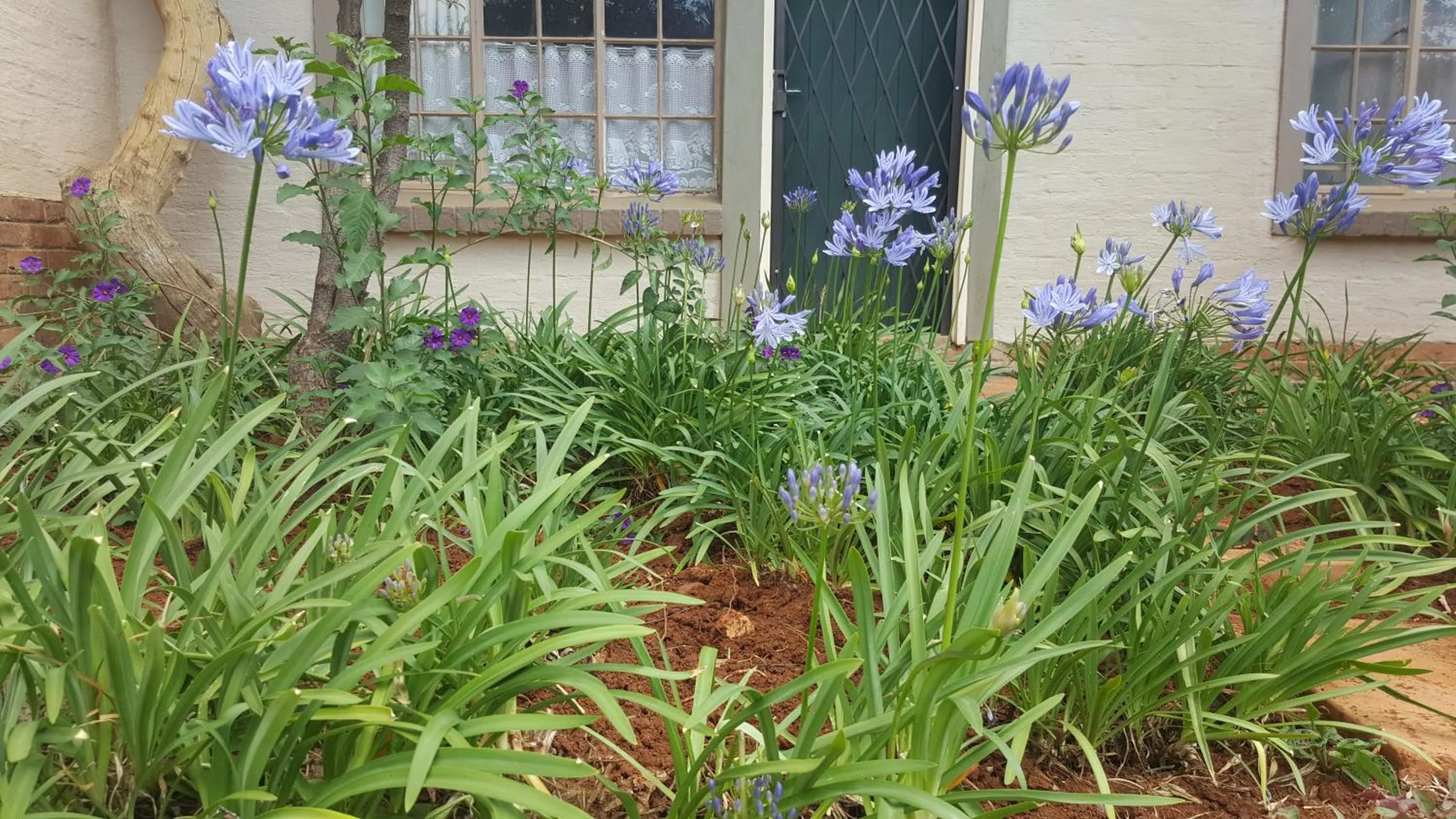 African Silhouette Guesthouse