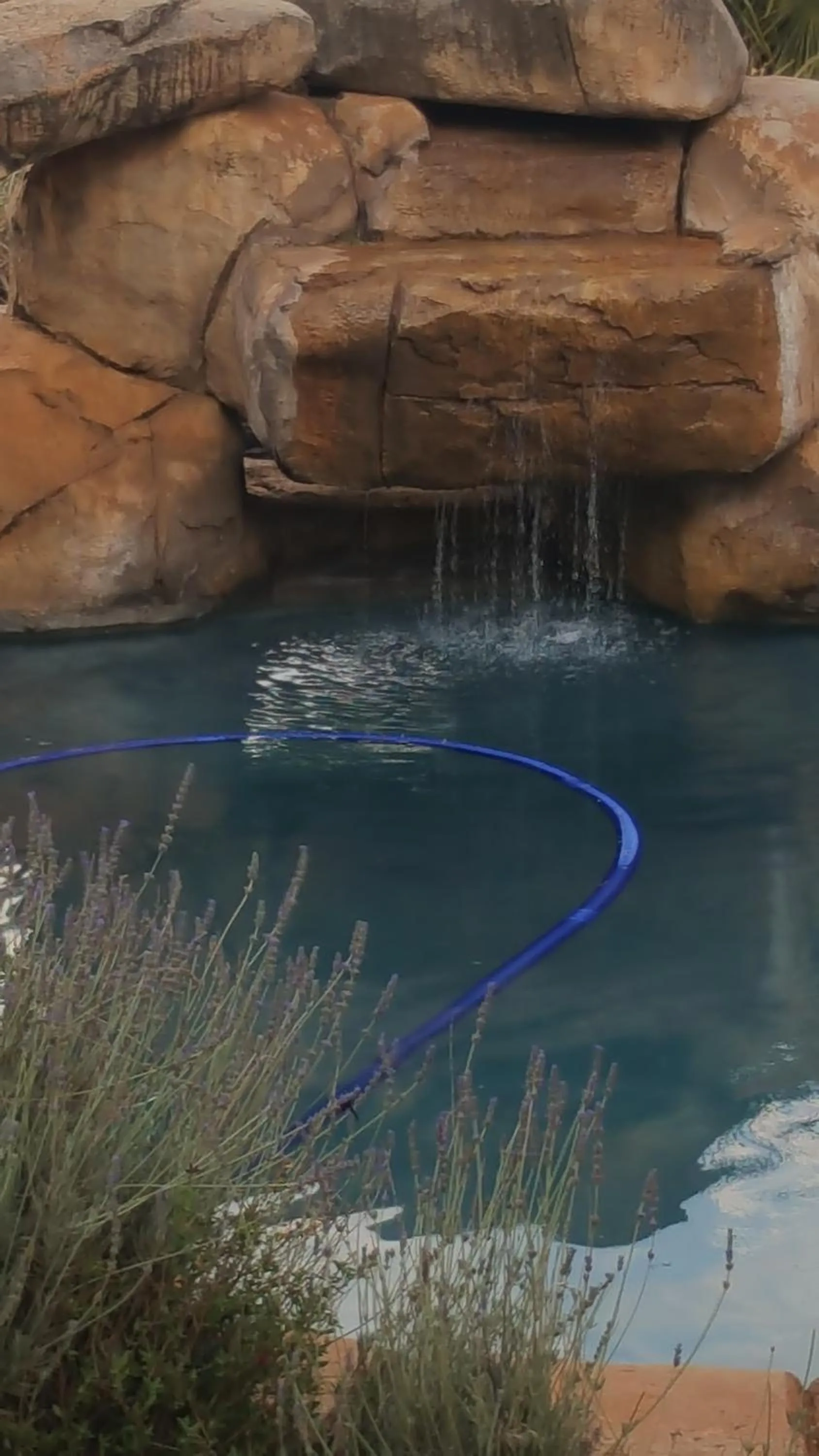 Swimming pool in African Silhouette Guesthouse