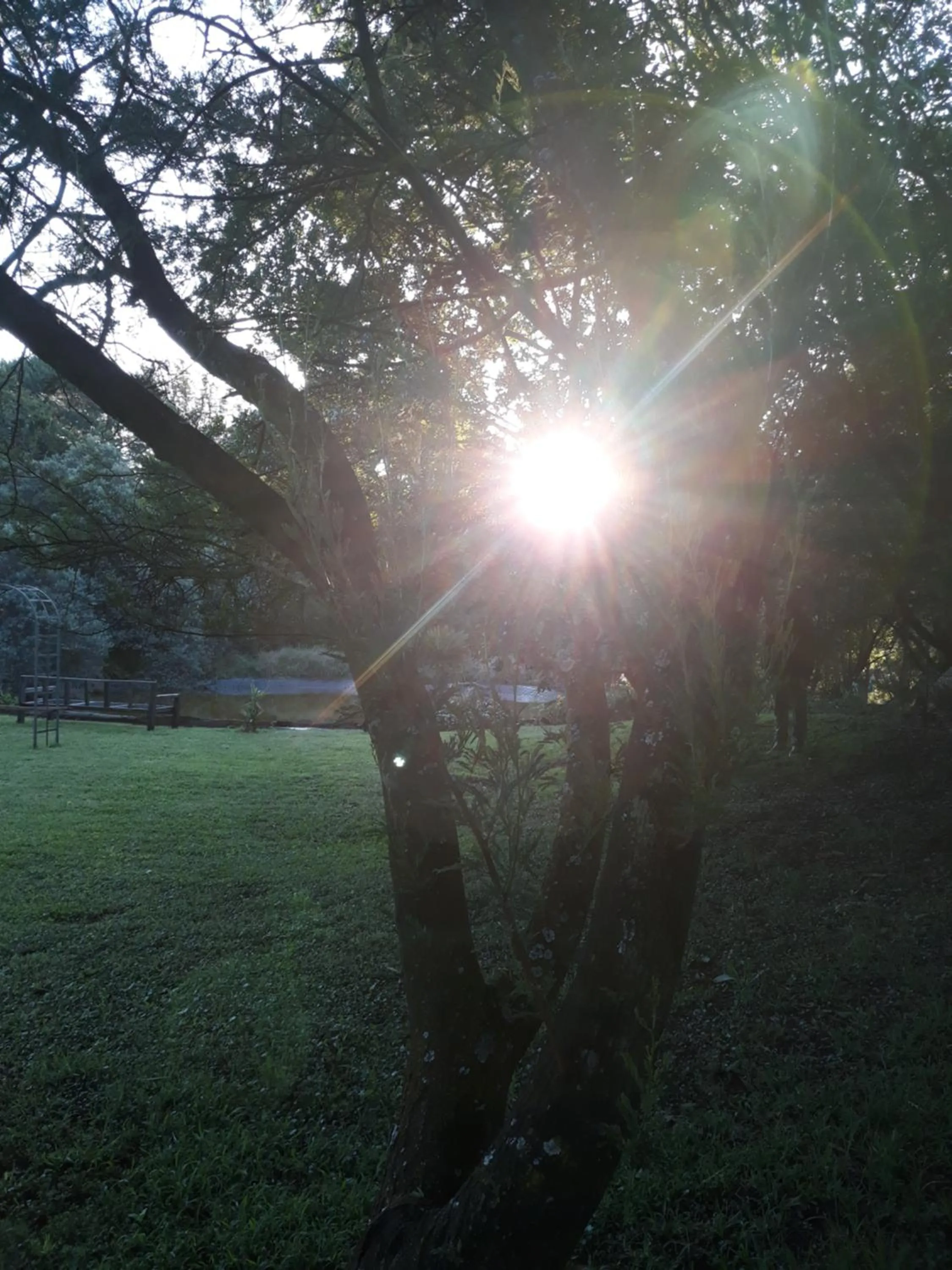 Natural landscape in African Silhouette Guesthouse