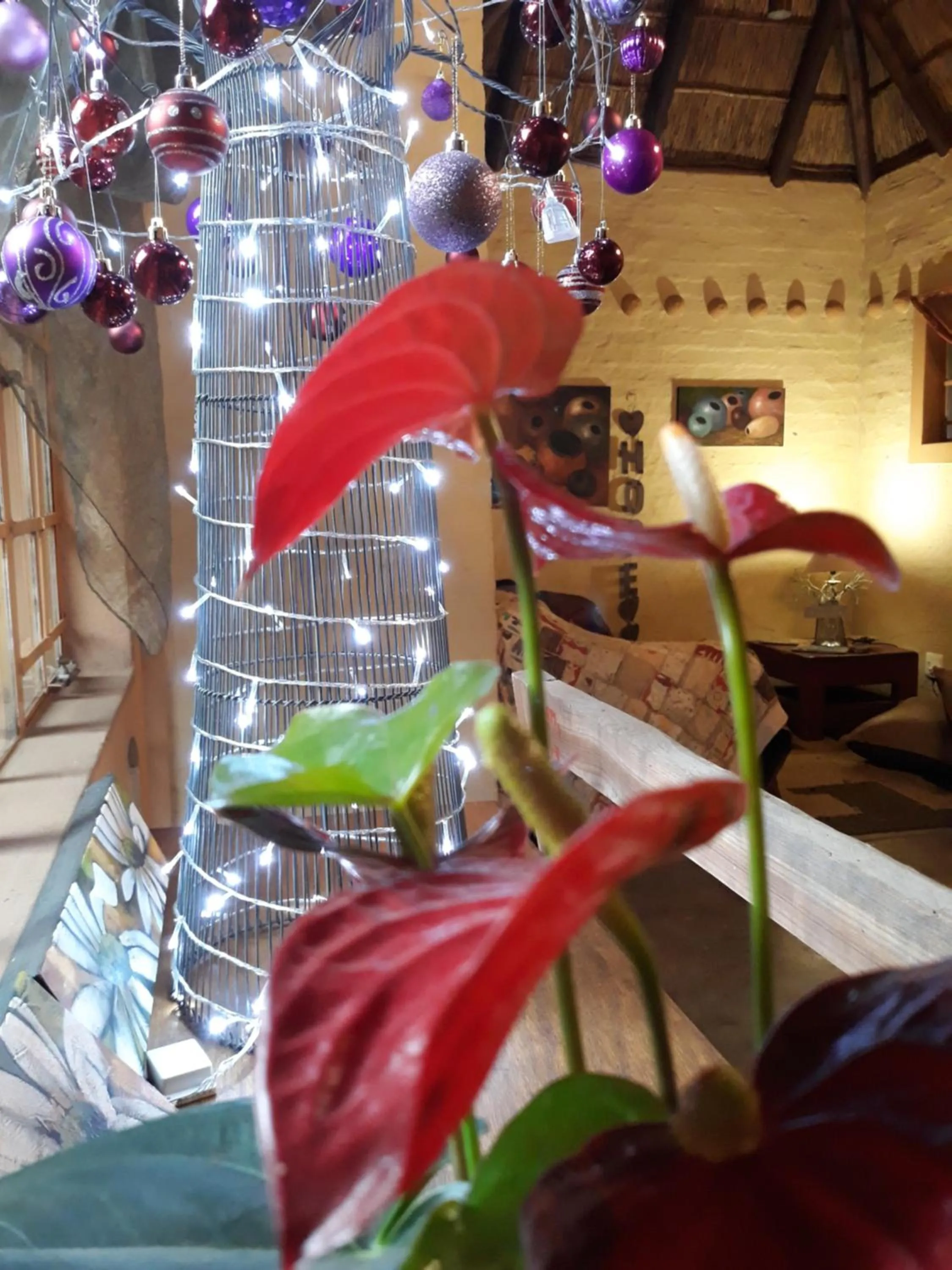 Lobby or reception in African Silhouette Guesthouse