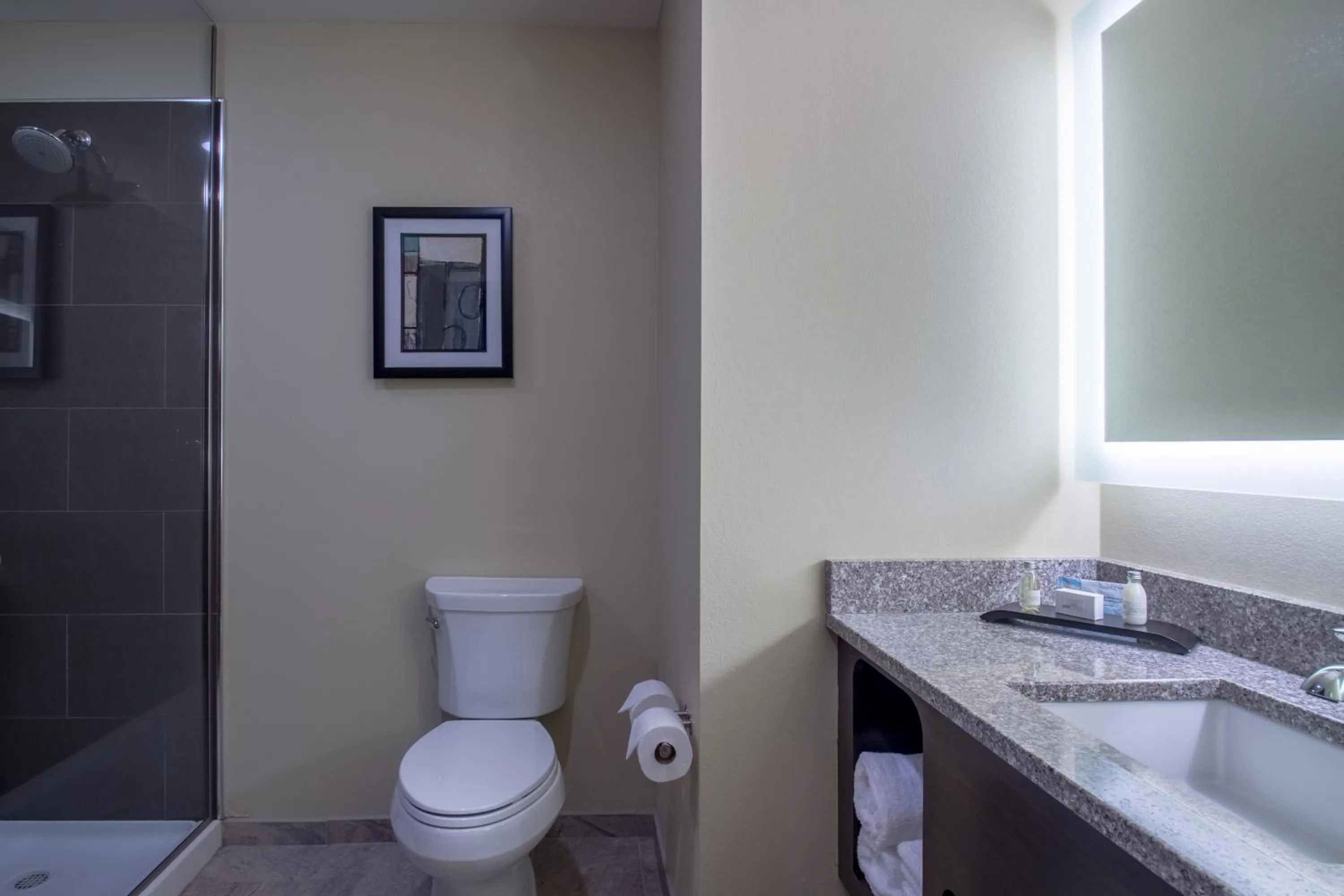 Shower in Cobblestone Inn & Suites - St Marys