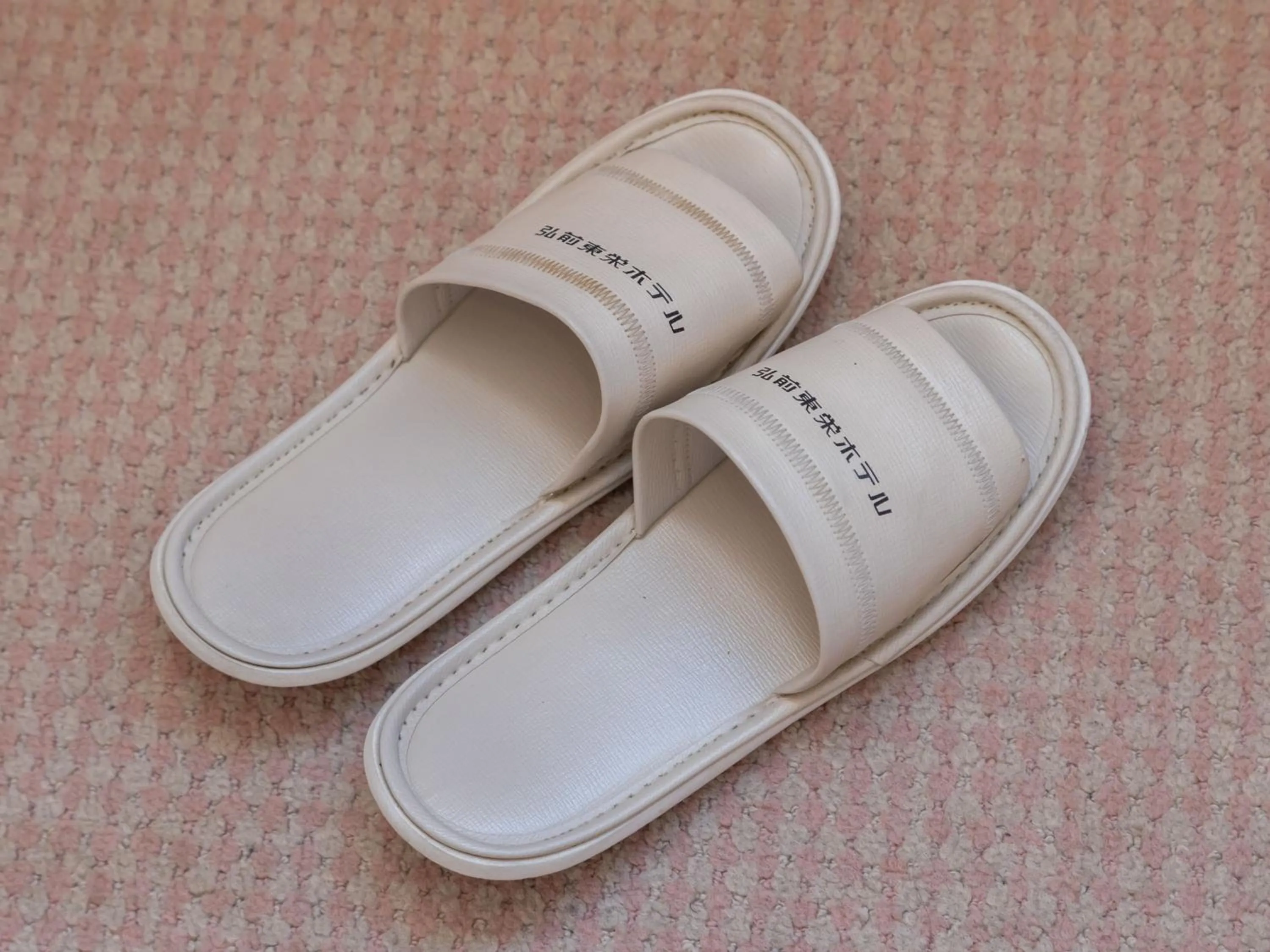 Photo of the whole room in Tabist Hirosaki Touei Hotel