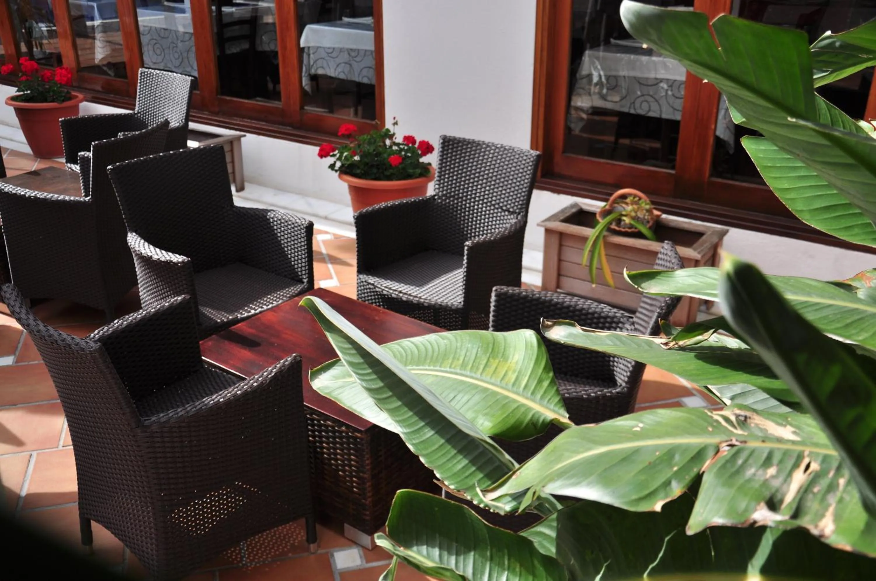 Garden in Aparthotel Puerto Mar