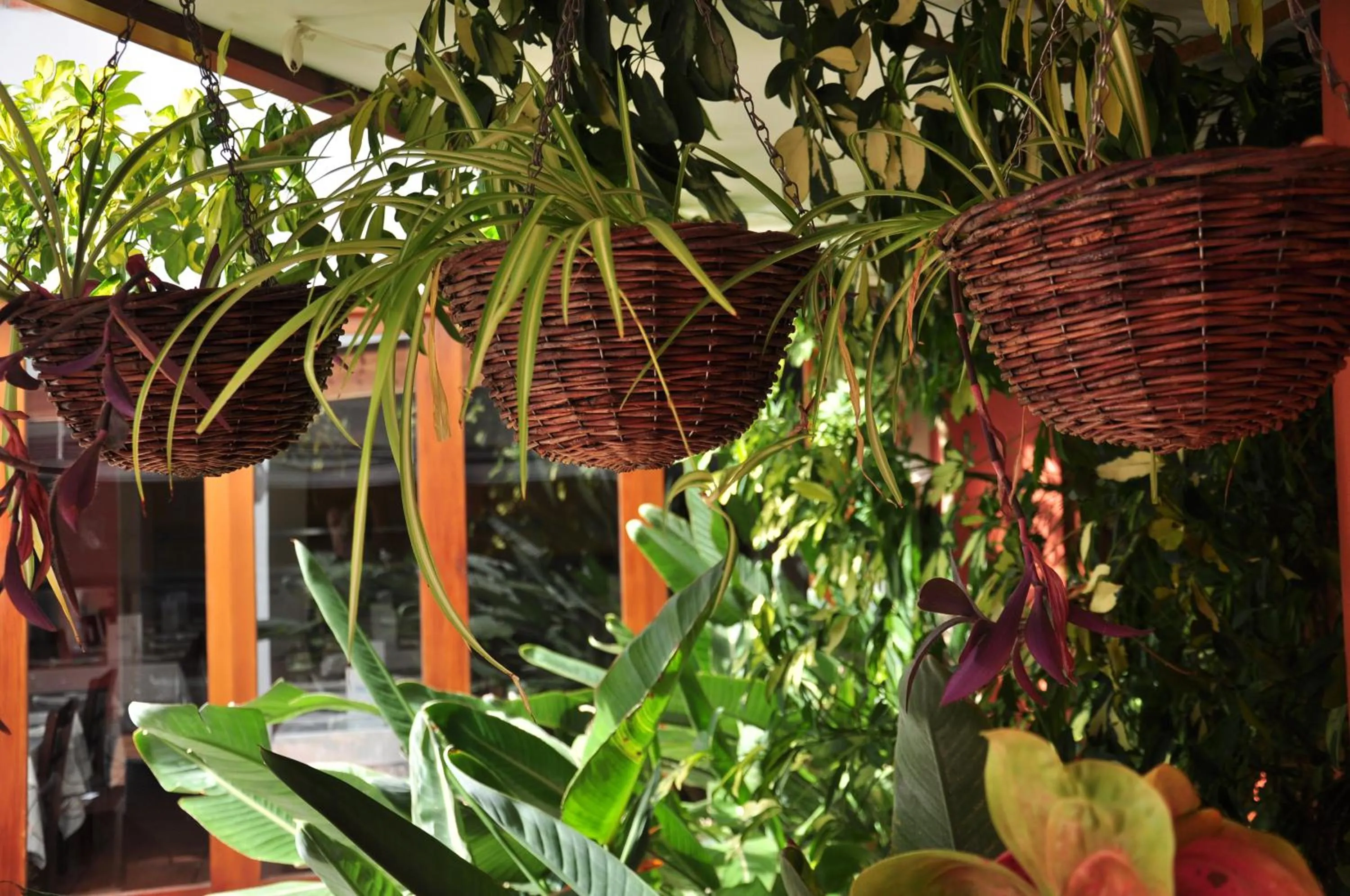 Garden view in Aparthotel Puerto Mar