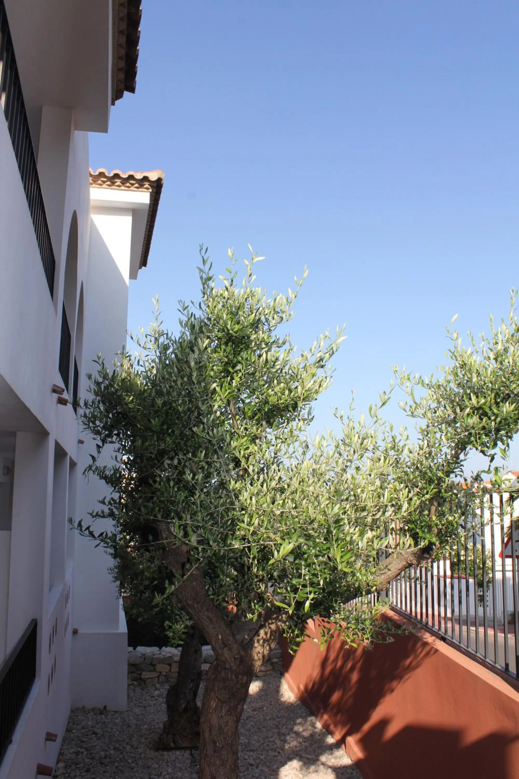 Natural landscape in Aparthotel Puerto Mar