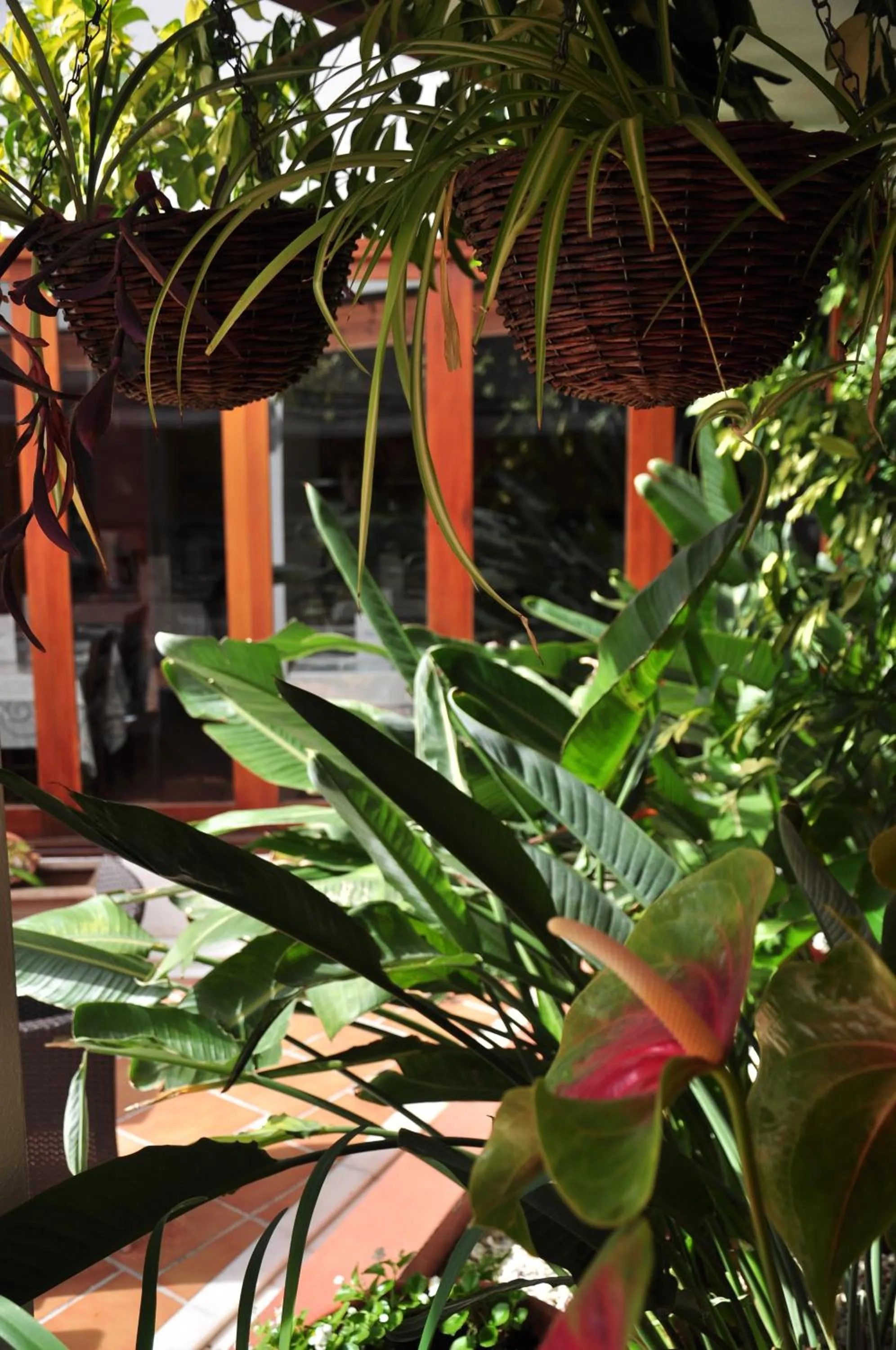 Garden view in Aparthotel Puerto Mar