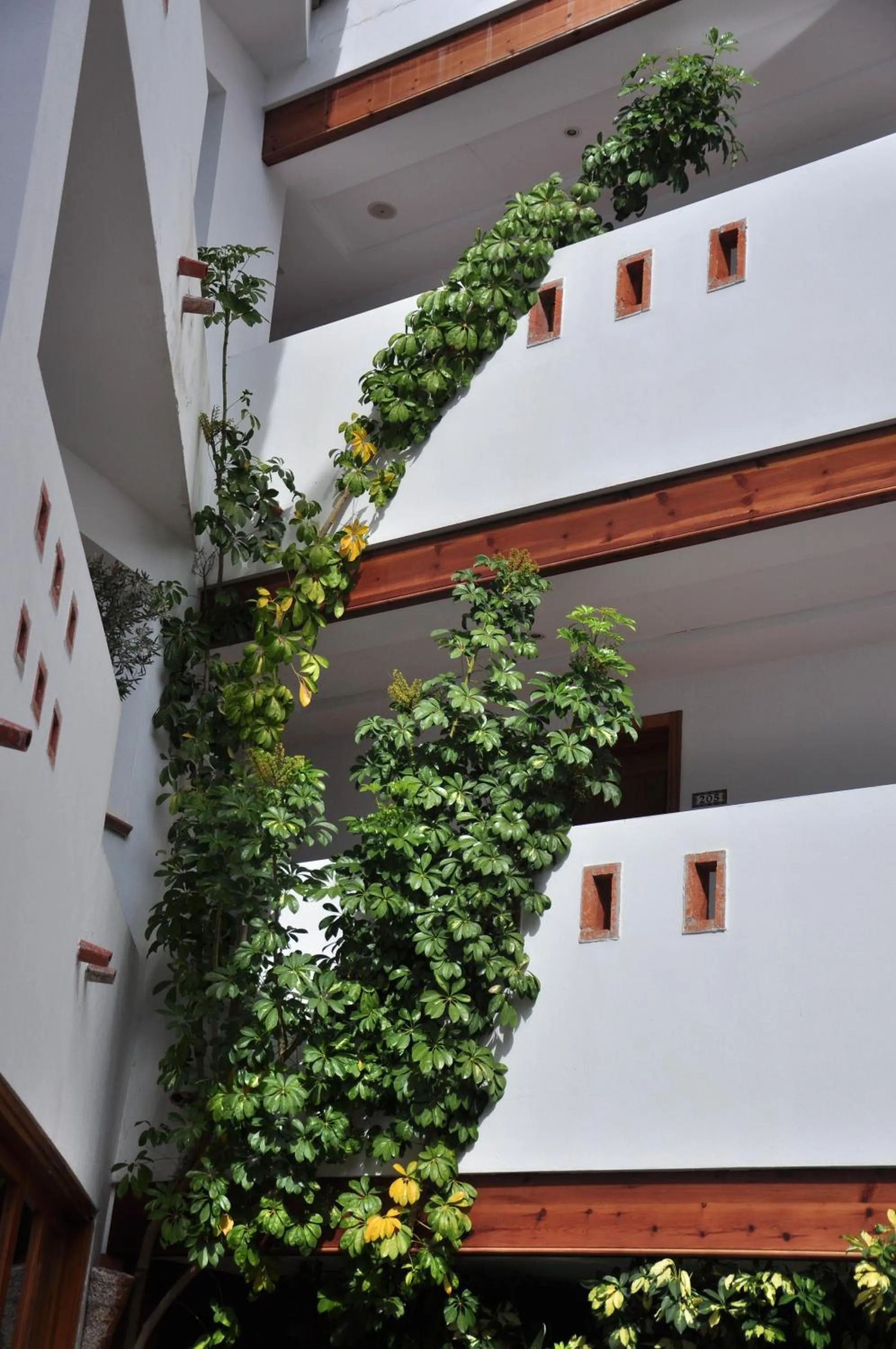 Spring in Aparthotel Puerto Mar