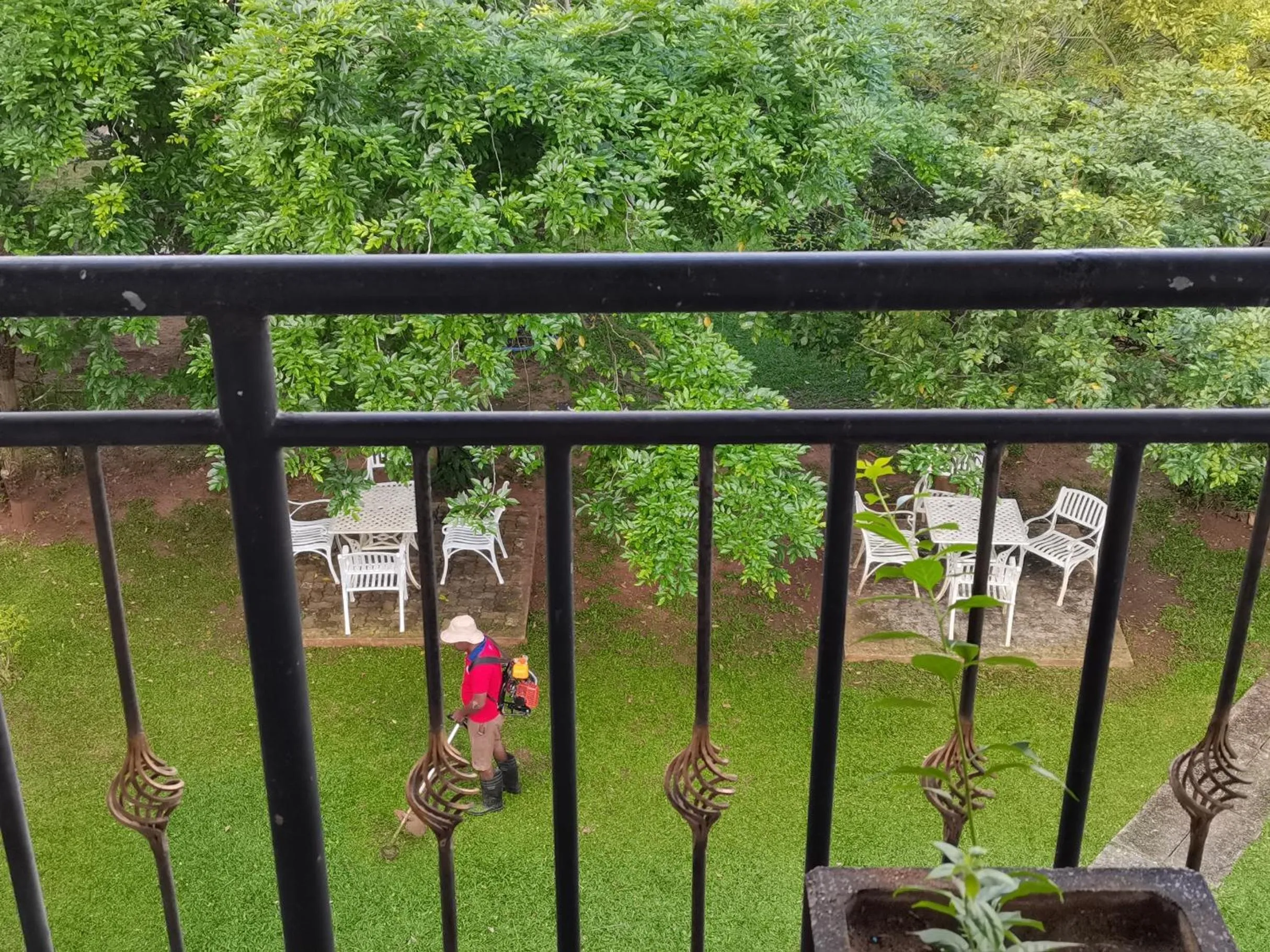 People in Rajarata Family Resort