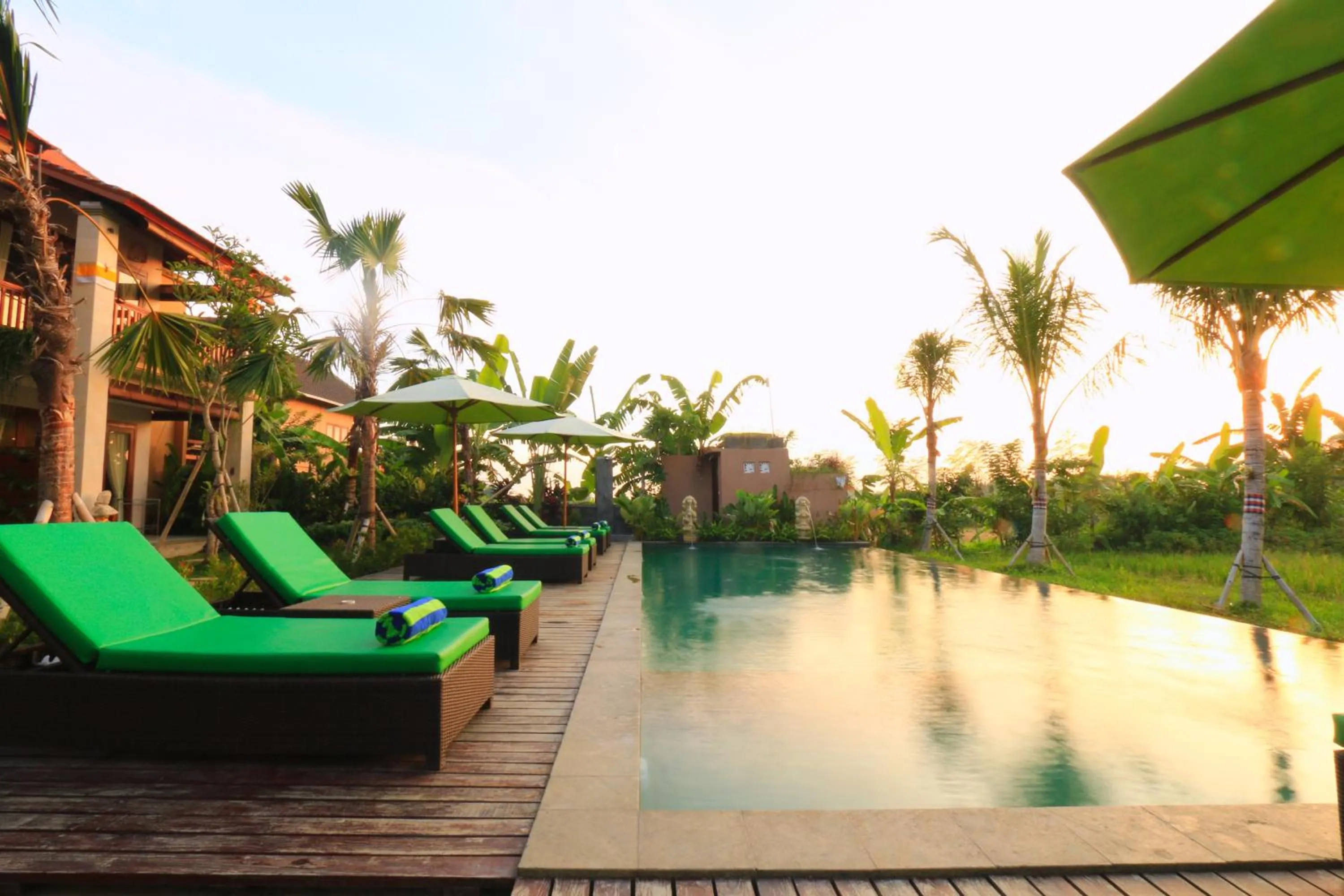 Swimming pool in Ubud Tropical Garden