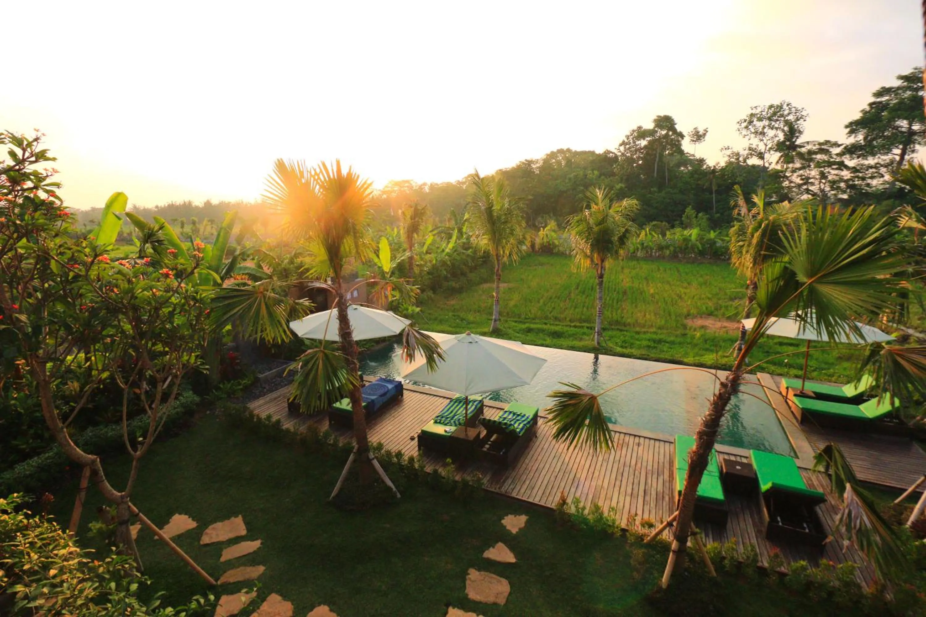 Swimming pool in Ubud Tropical Garden