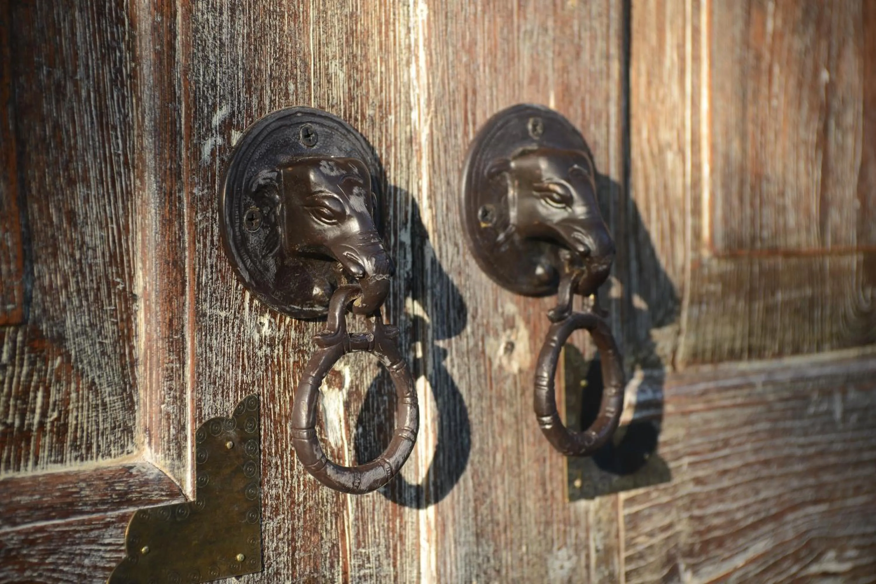 Decorative detail in Private Pool Villa 88 Nimman Chiangmai