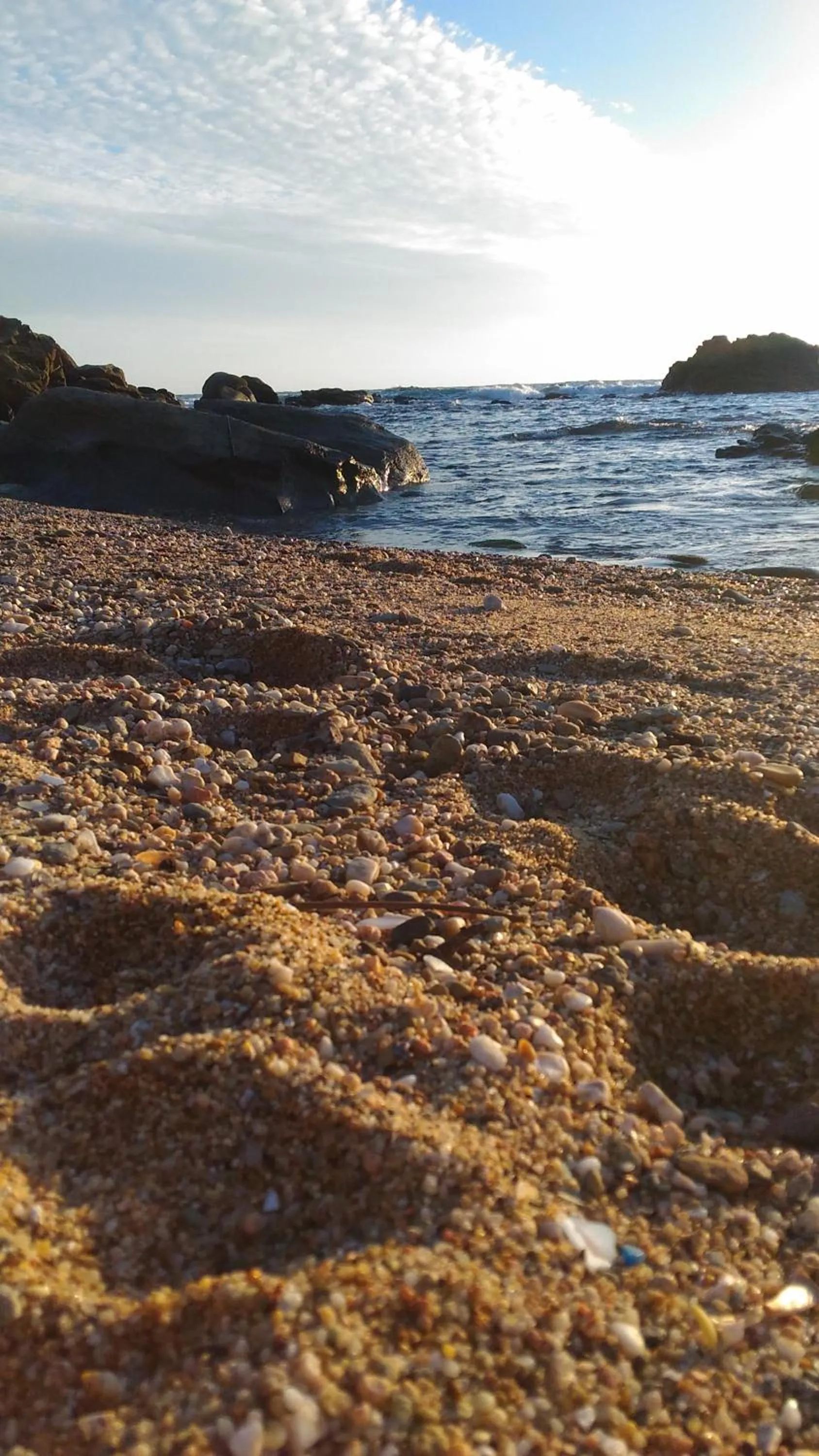 Activities in B&B Annalu'