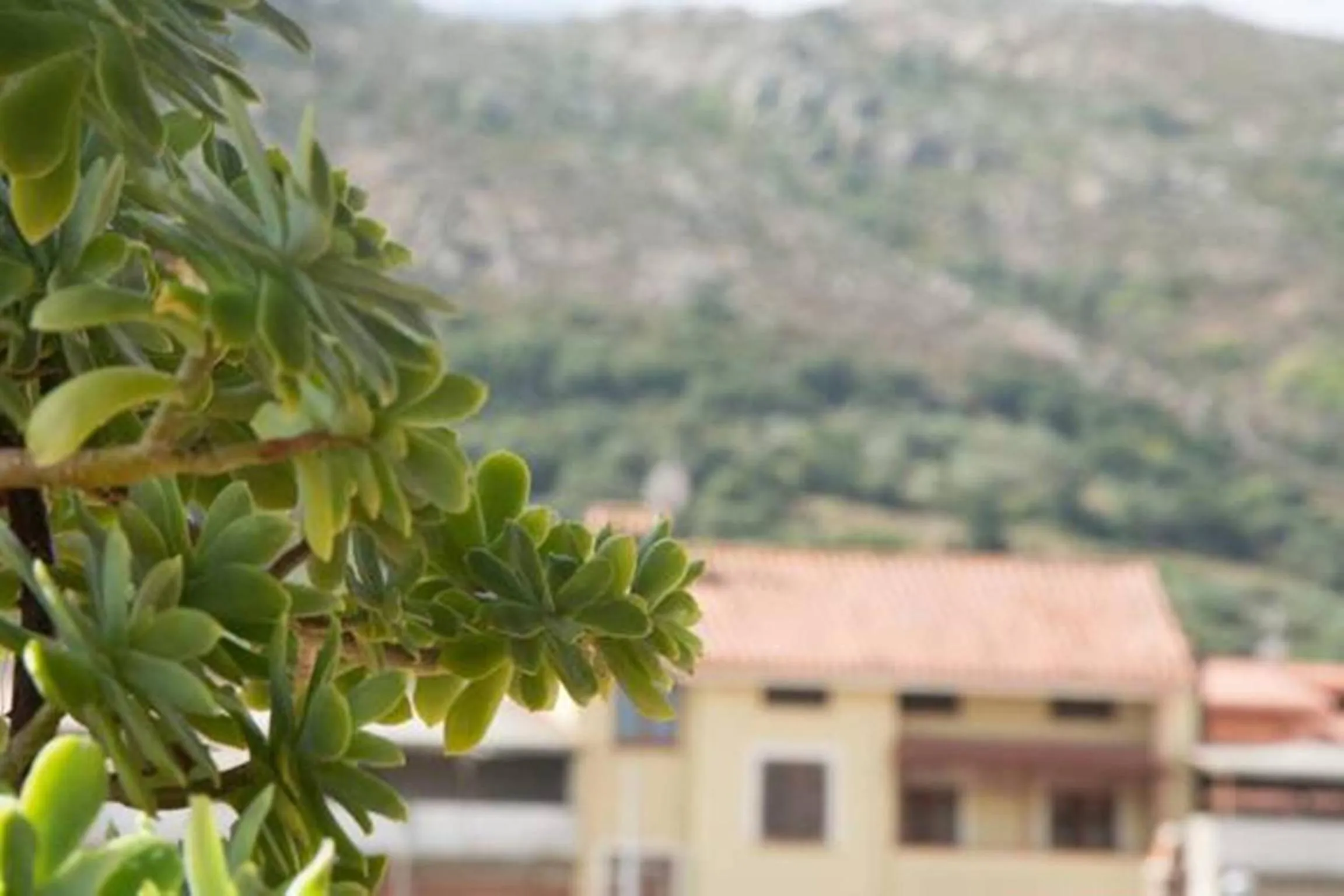 Spring in B&B Annalu'